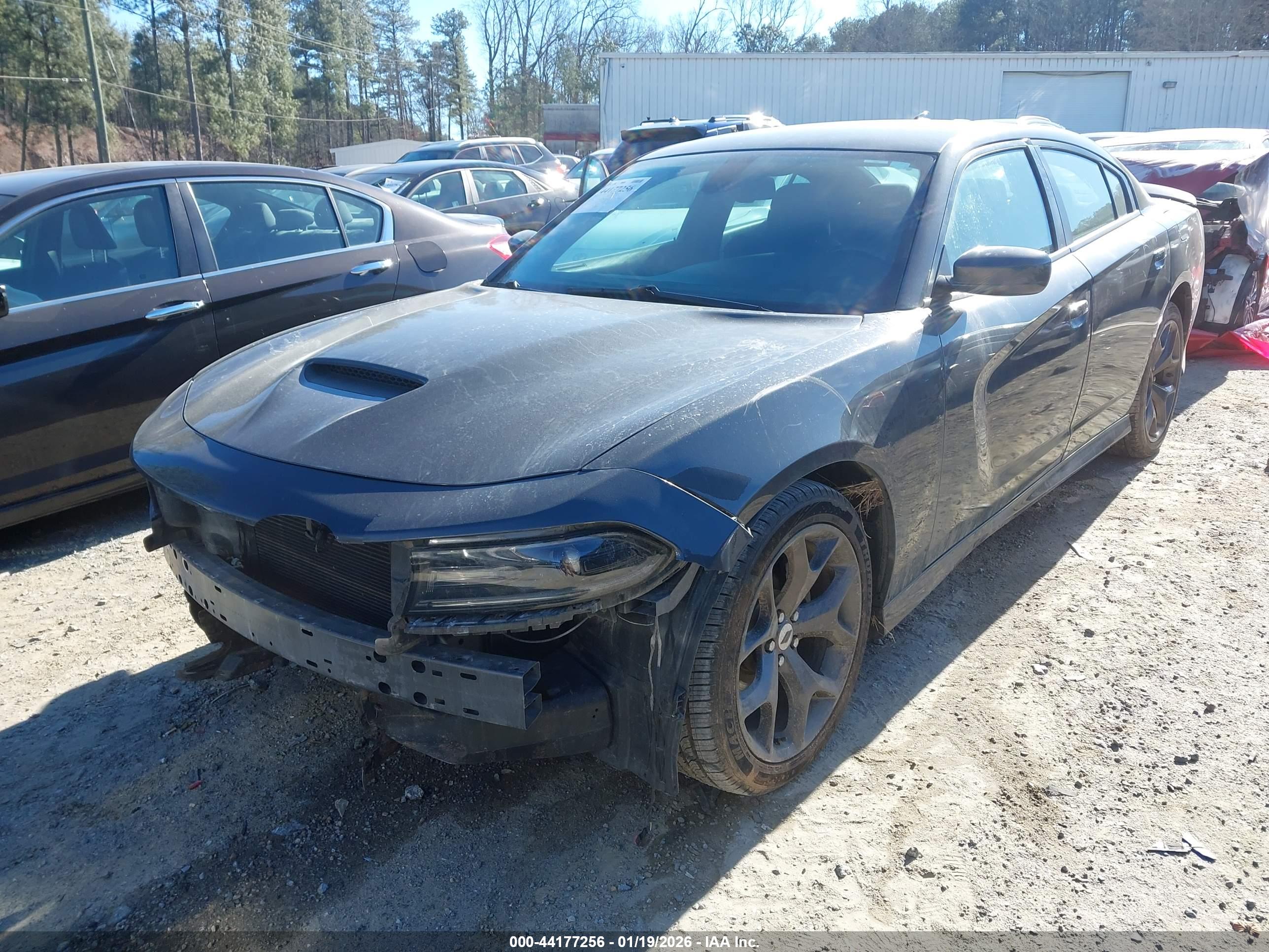 DODGE CHARGER image 2