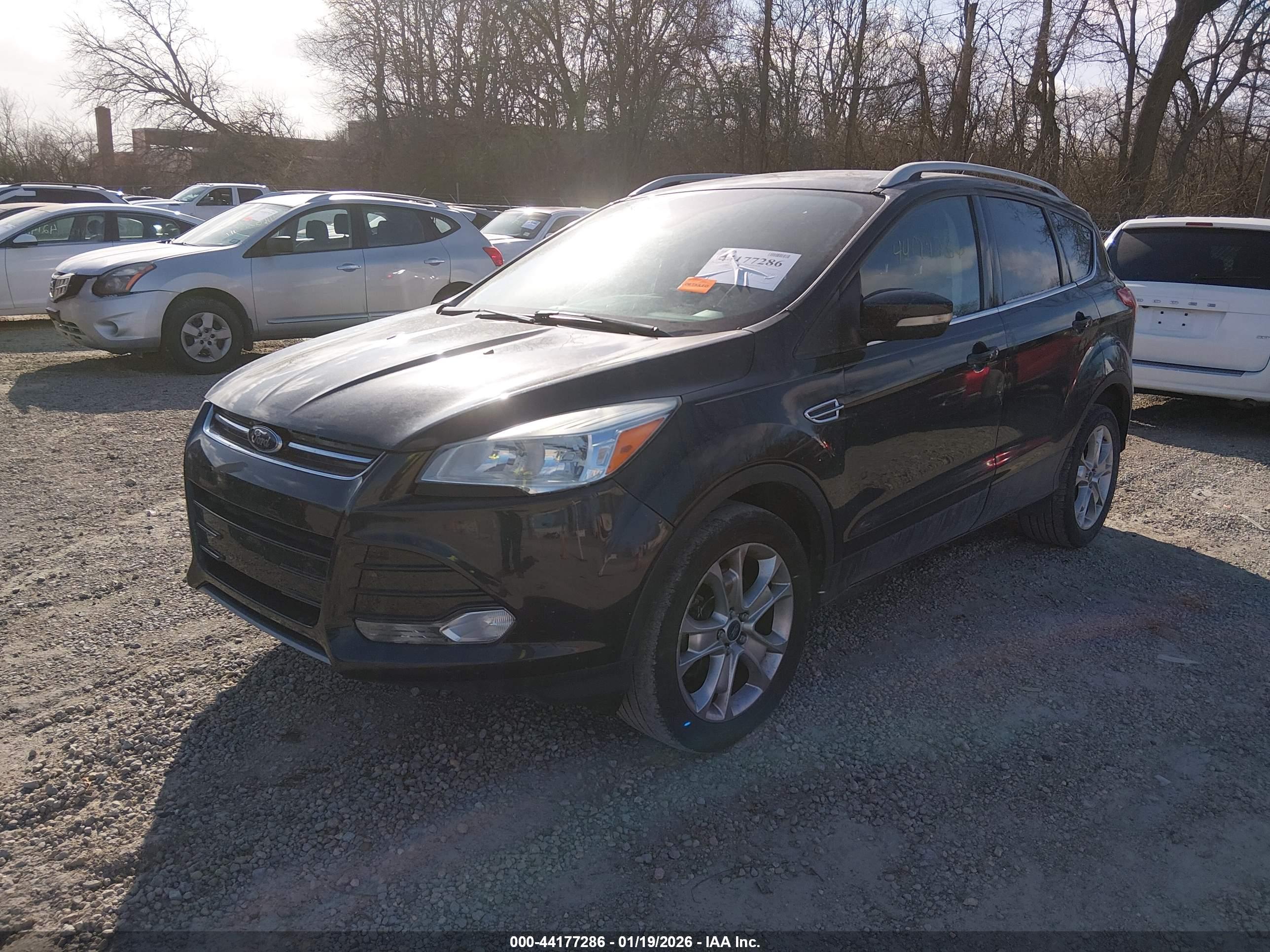 FORD ESCAPE image 2