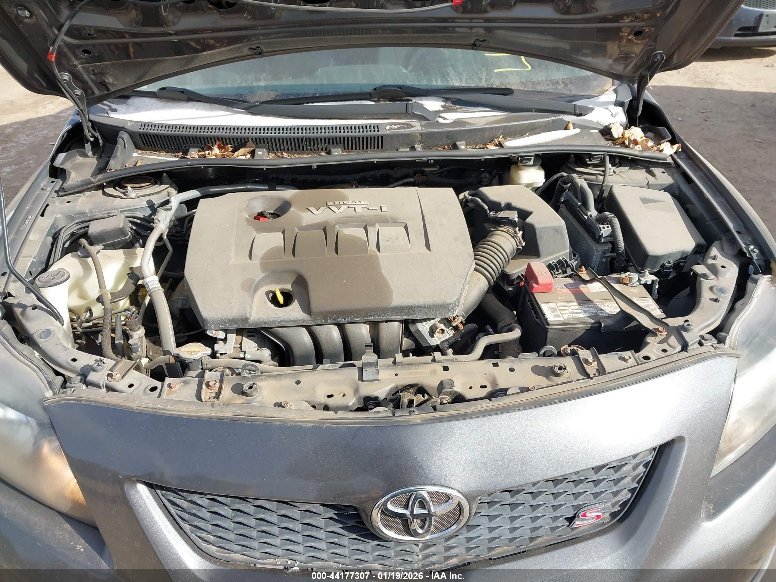 TOYOTA COROLLA image 10