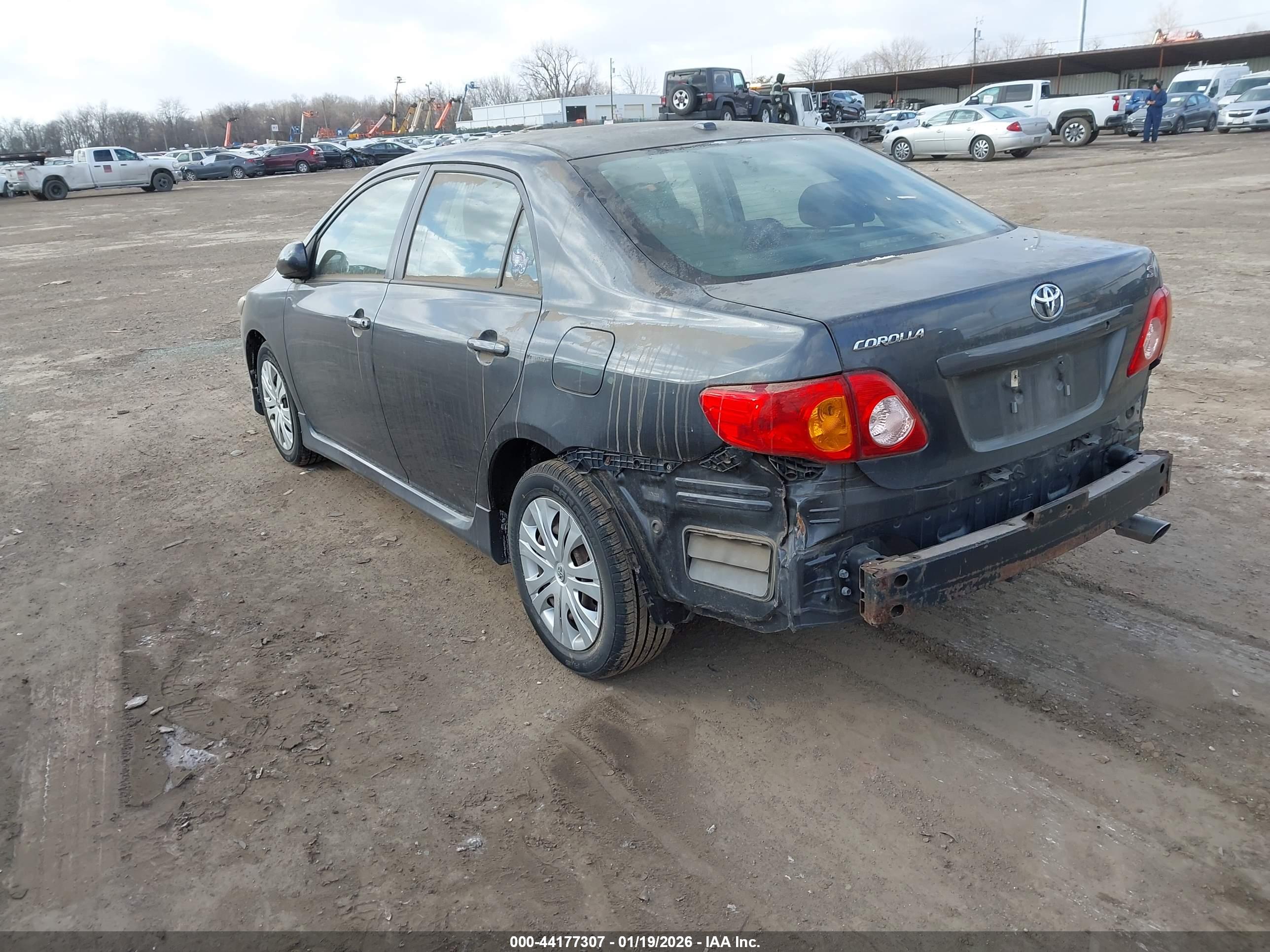 TOYOTA COROLLA image 3