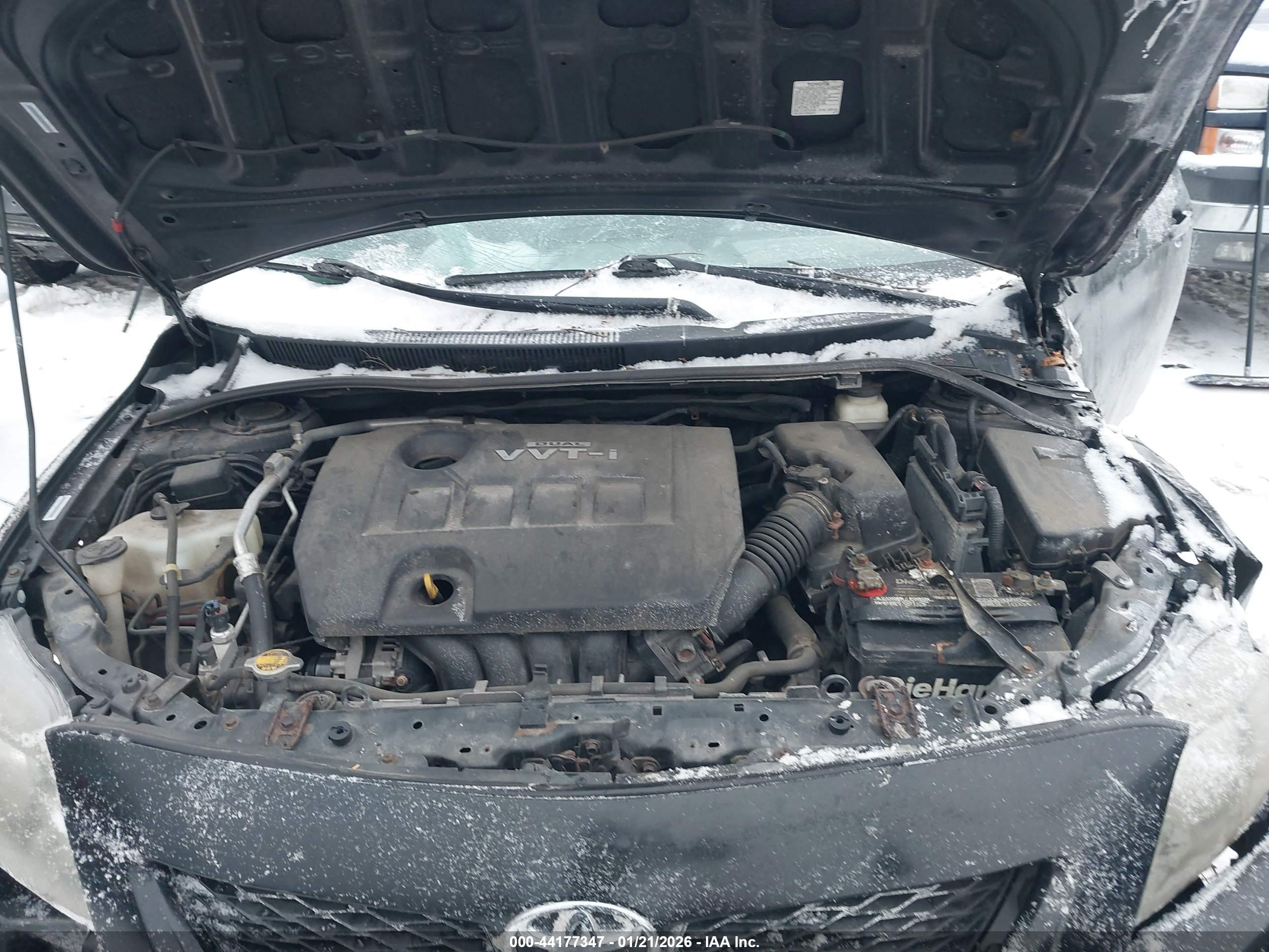 TOYOTA COROLLA image 10