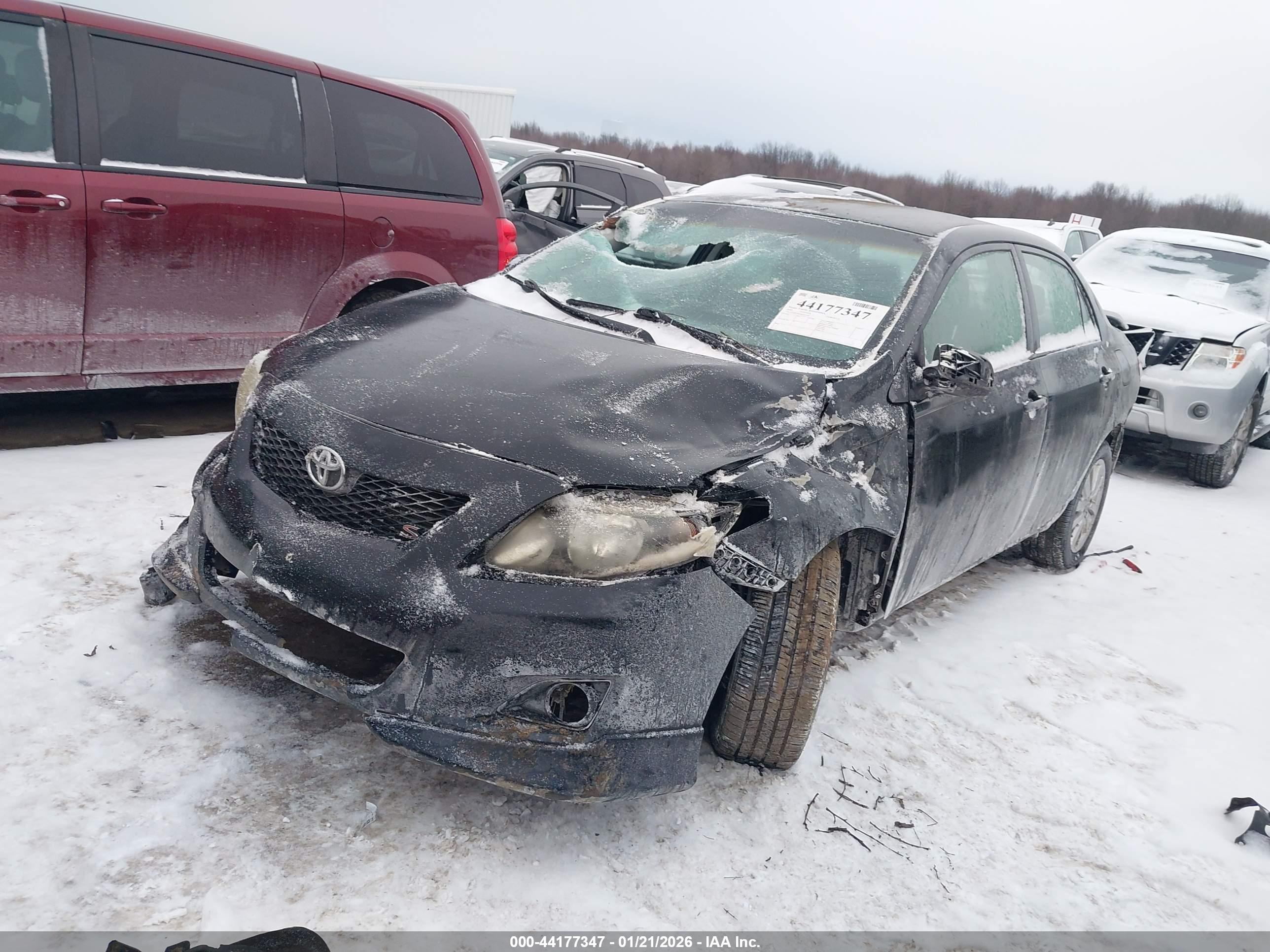 TOYOTA COROLLA image 2