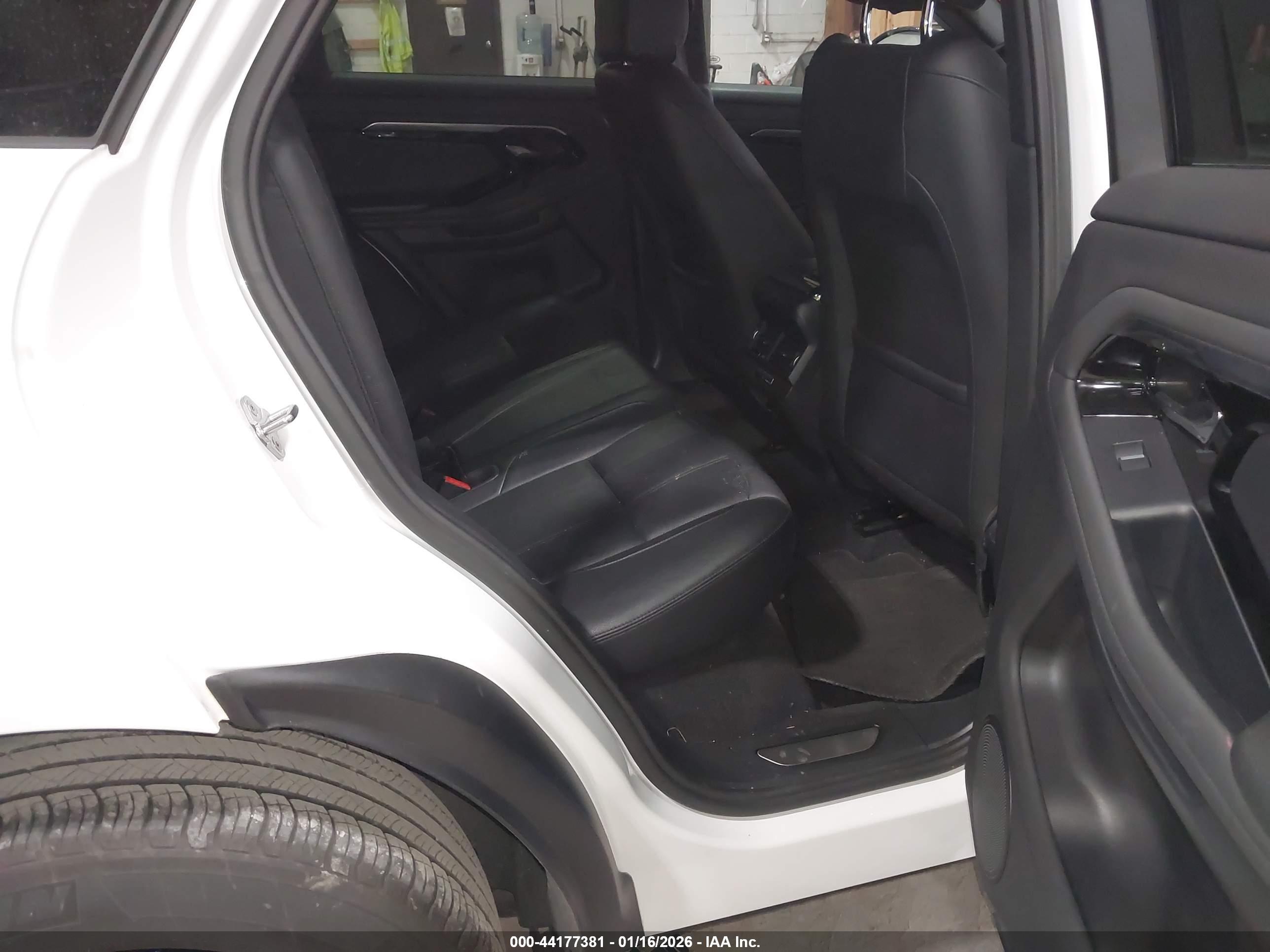 LAND ROVER image 8