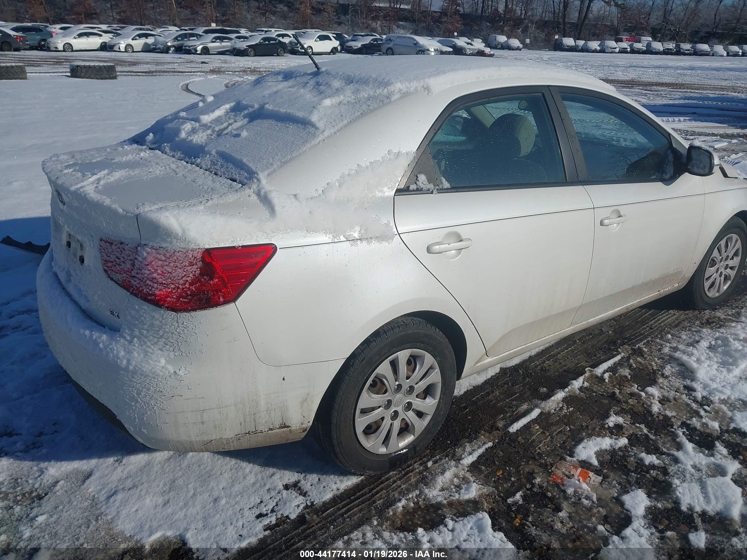 KIA FORTE image 4