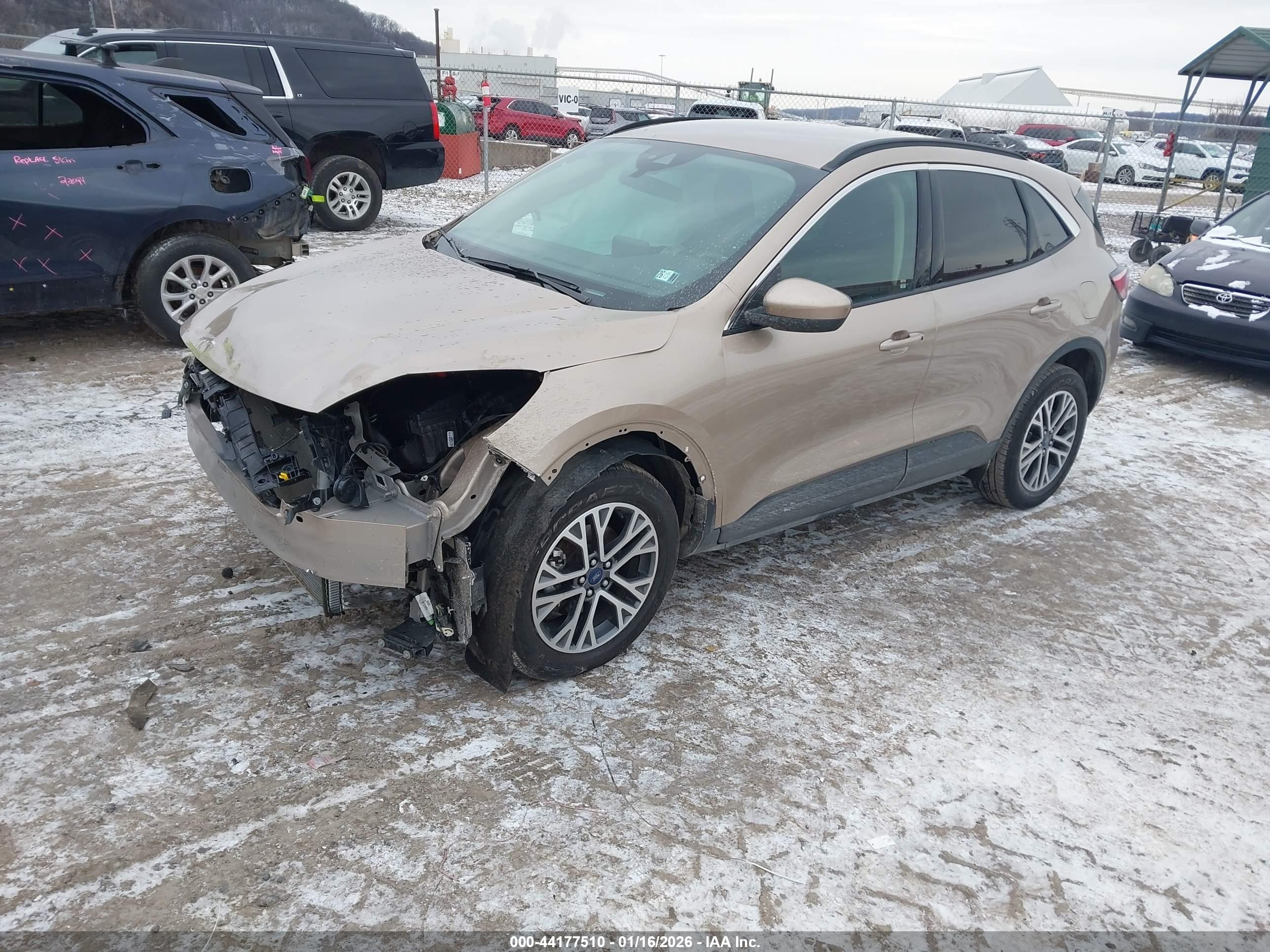 FORD ESCAPE image 2