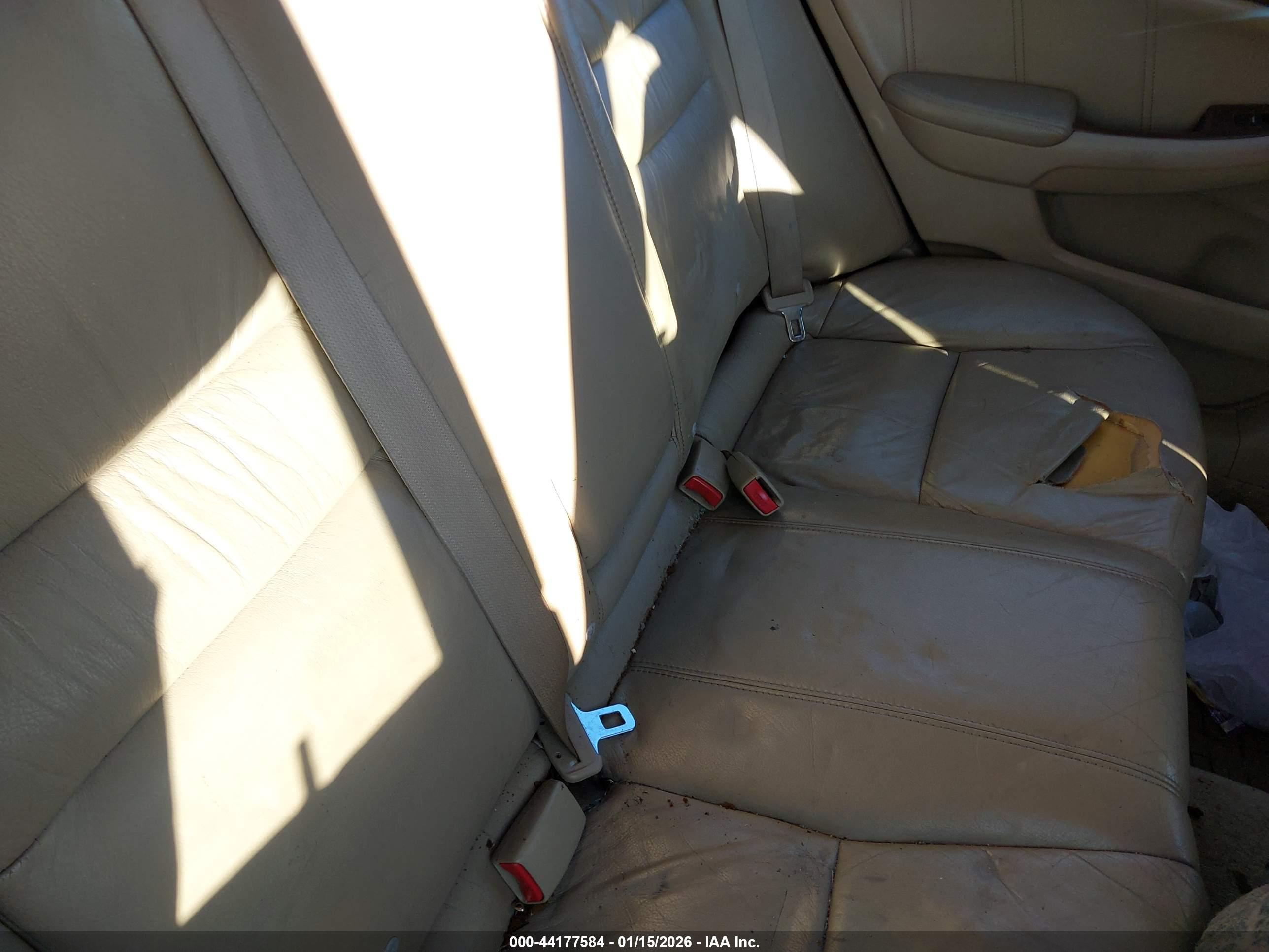 HONDA ACCORD image 8