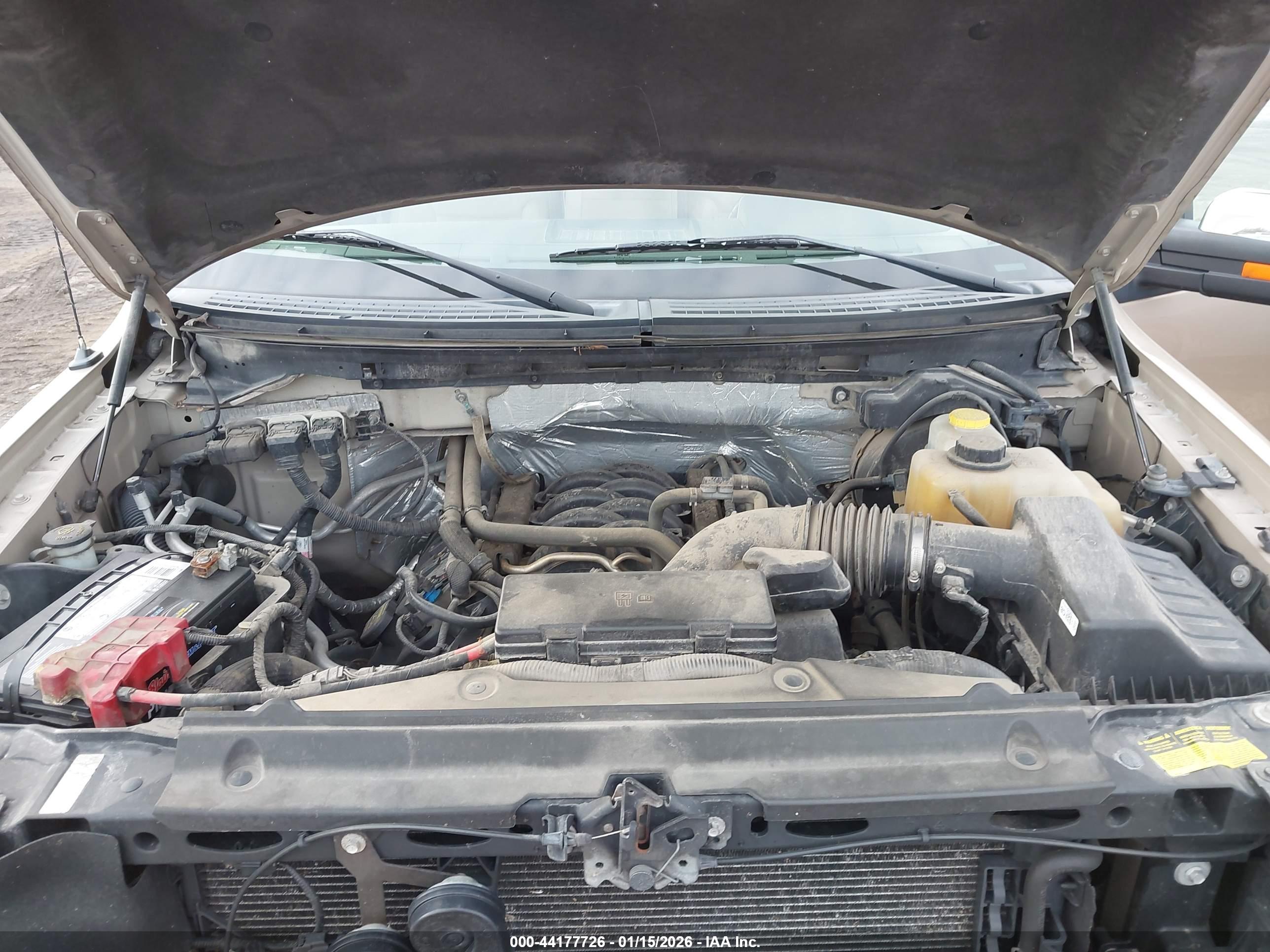 FORD F-150 image 10