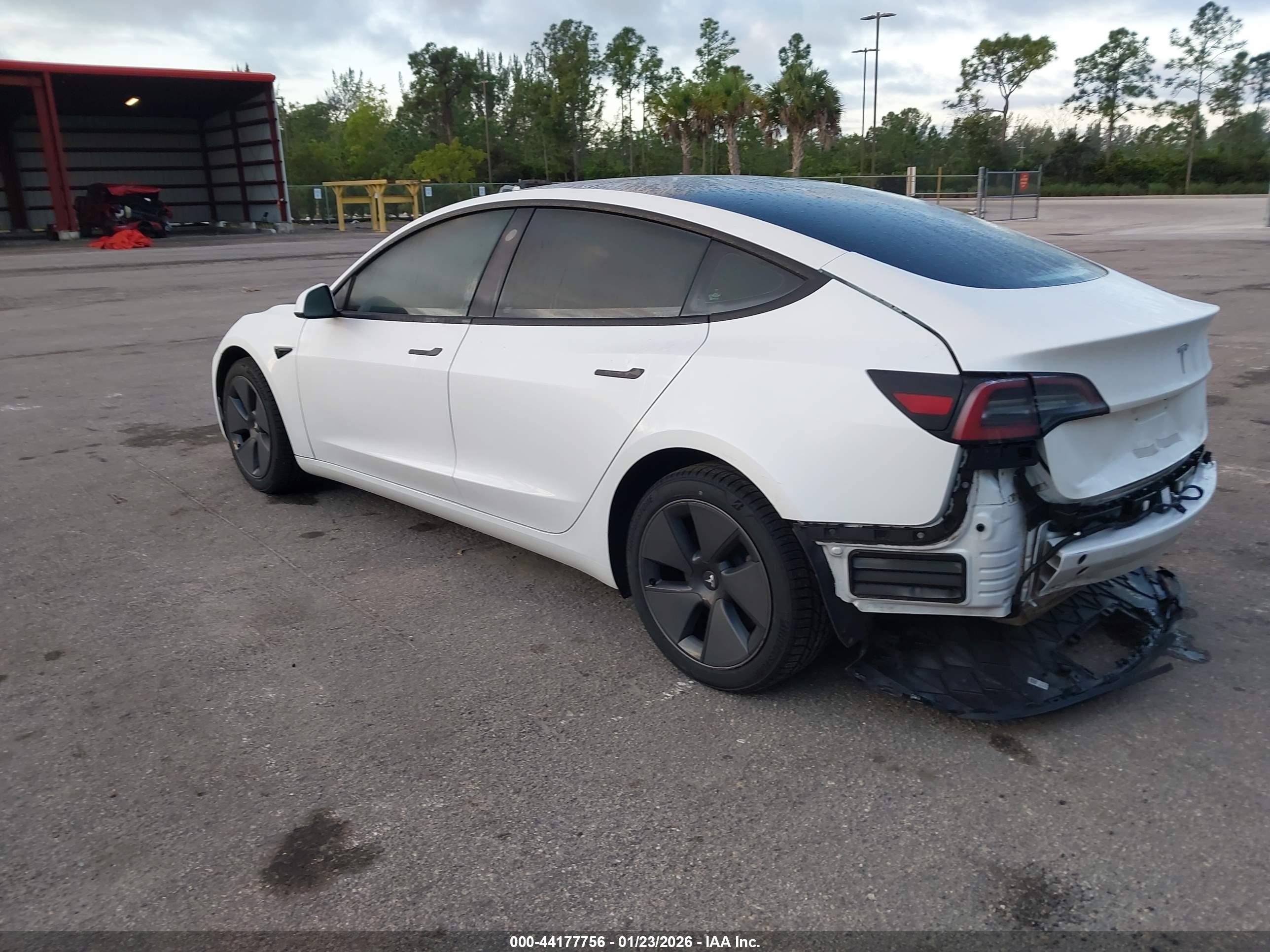 TESLA MODEL image 3
