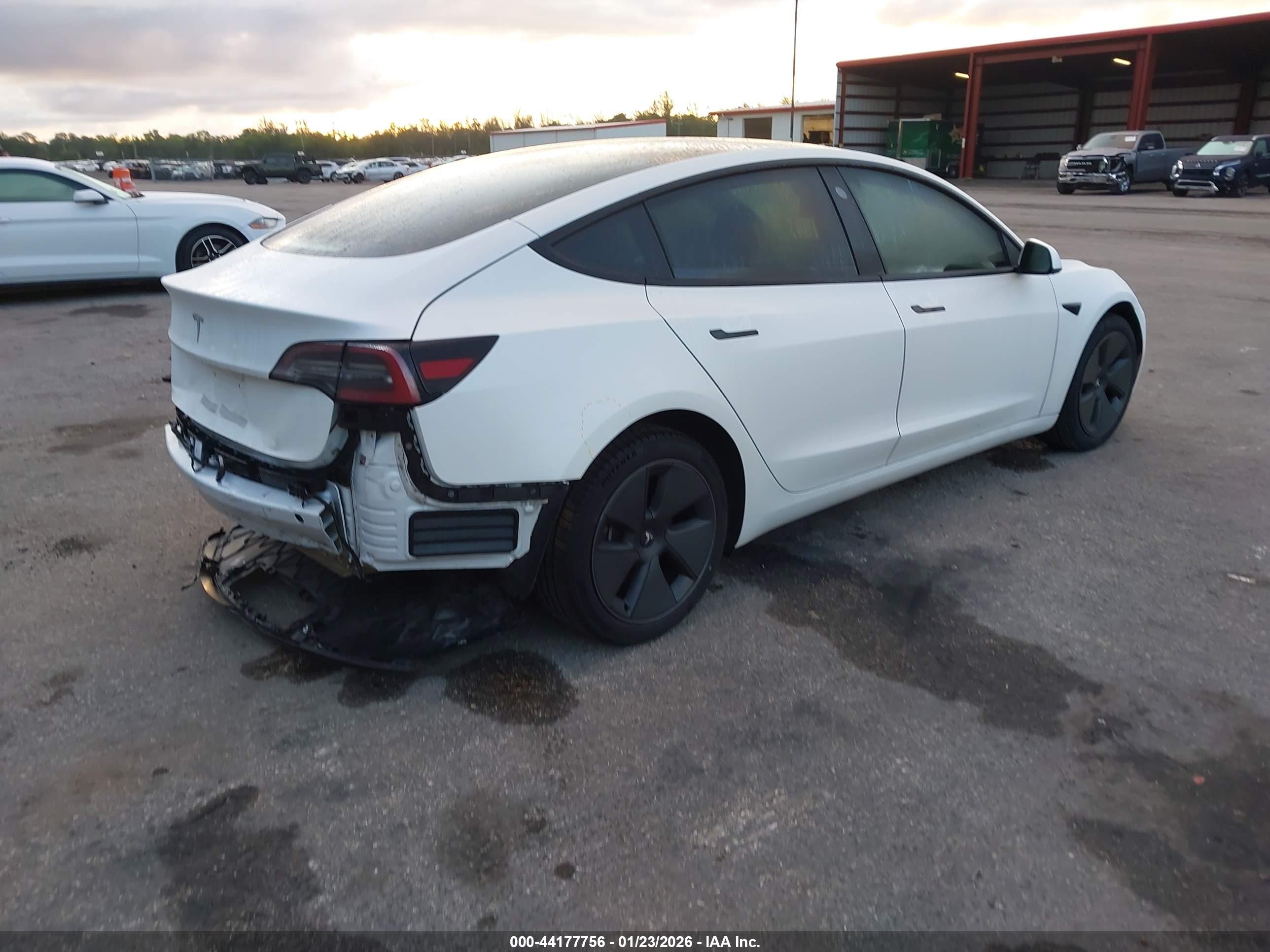 TESLA MODEL image 4