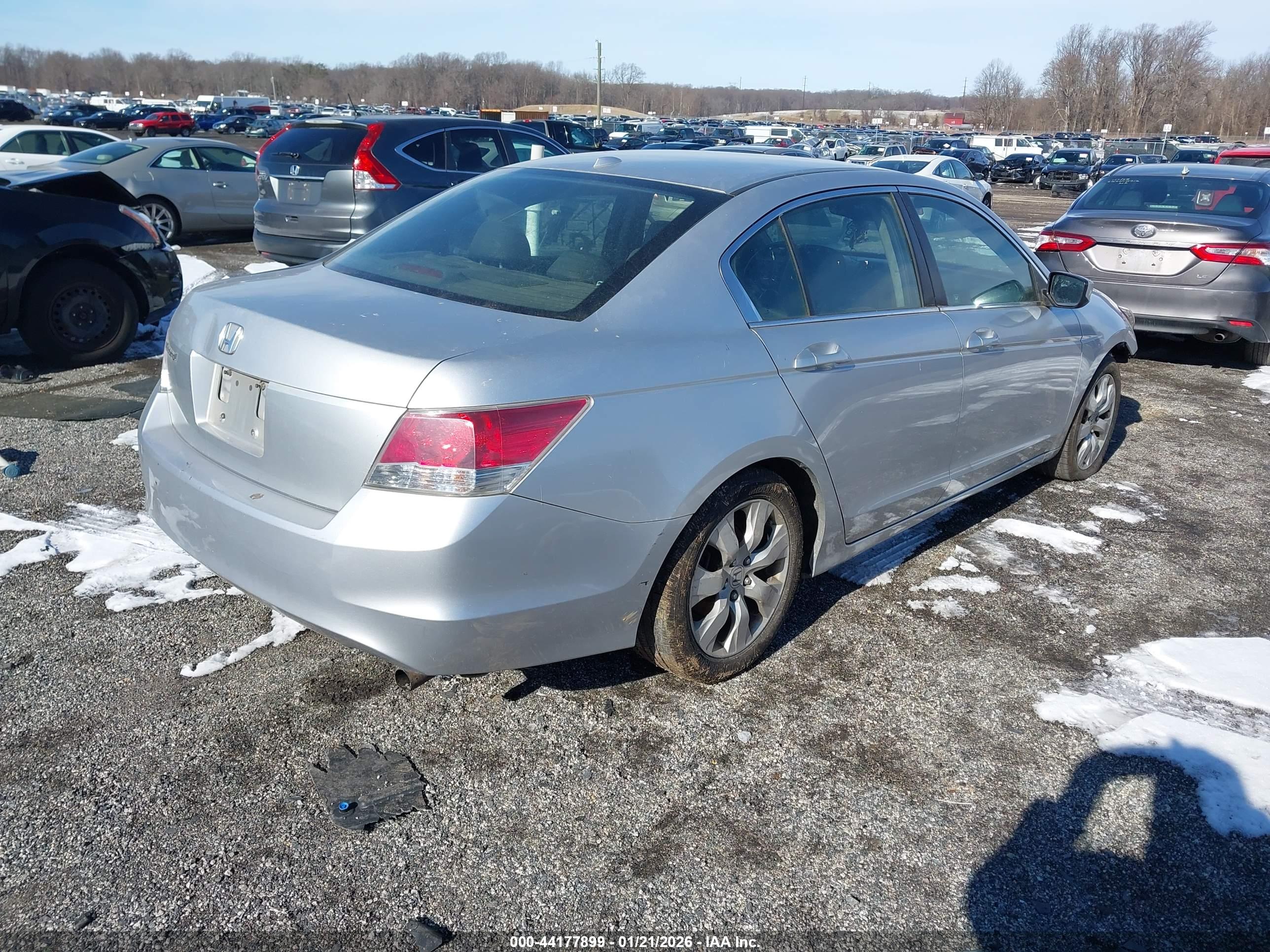 HONDA ACCORD image 4