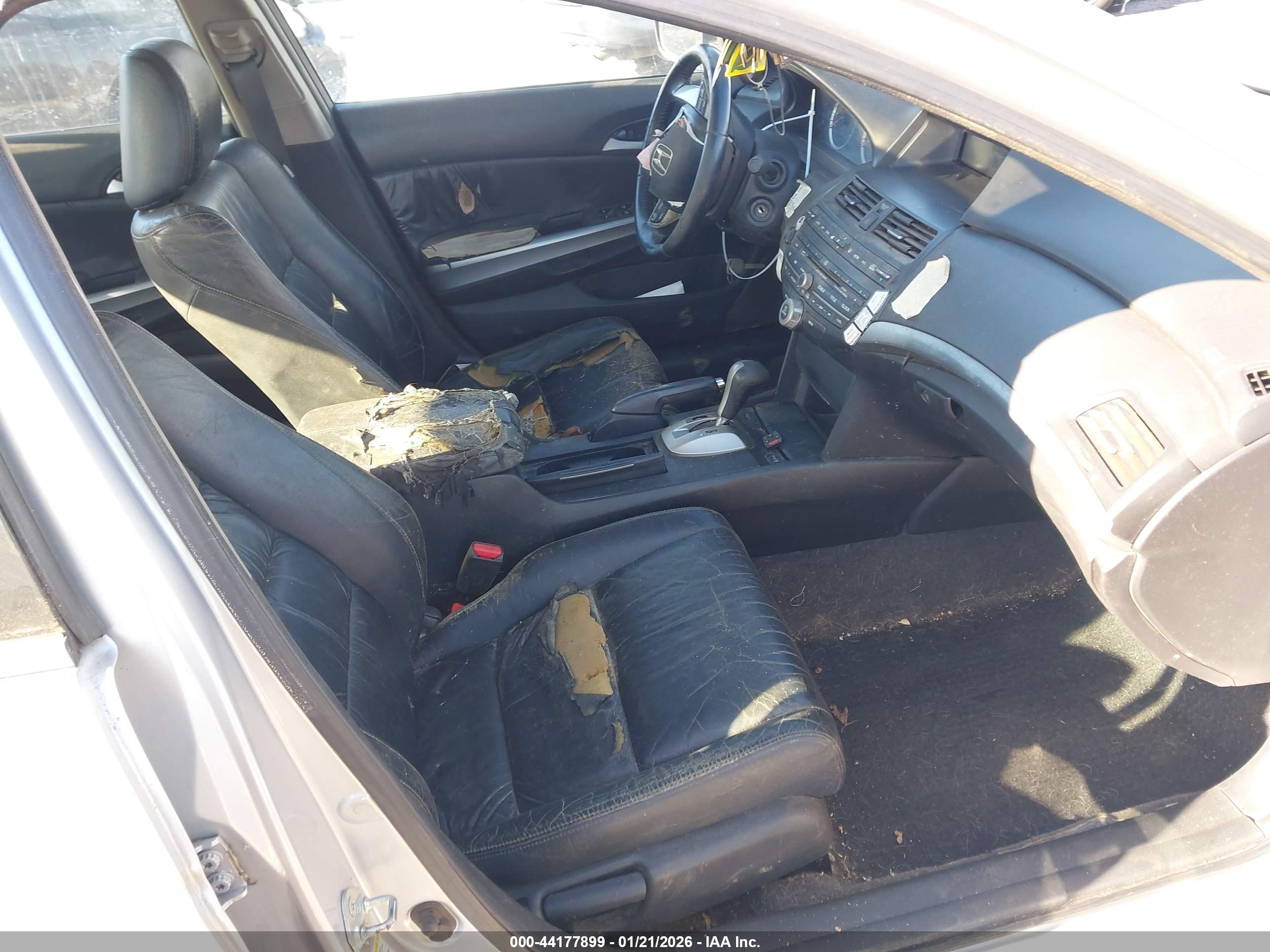 HONDA ACCORD image 5