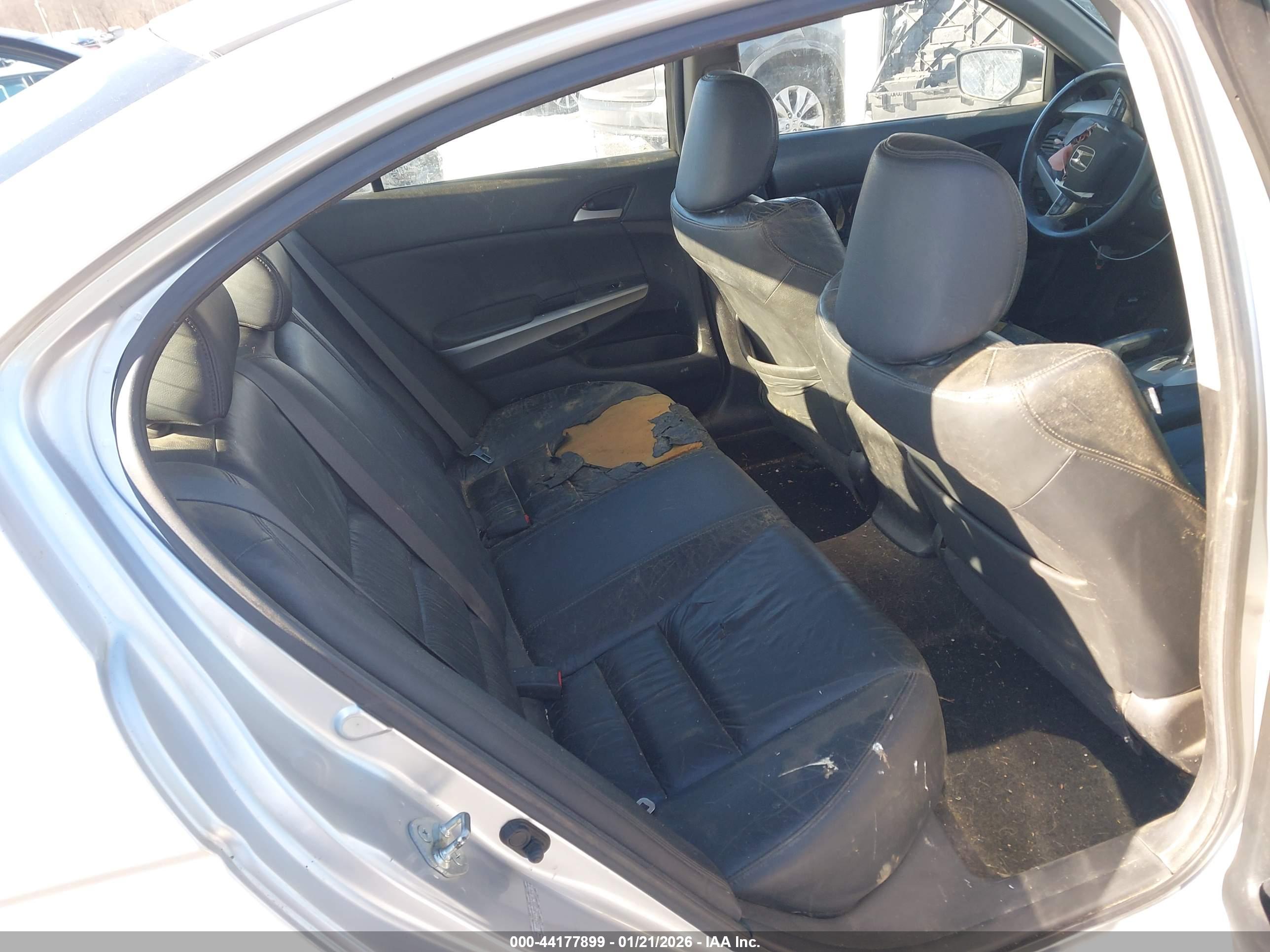 HONDA ACCORD image 8