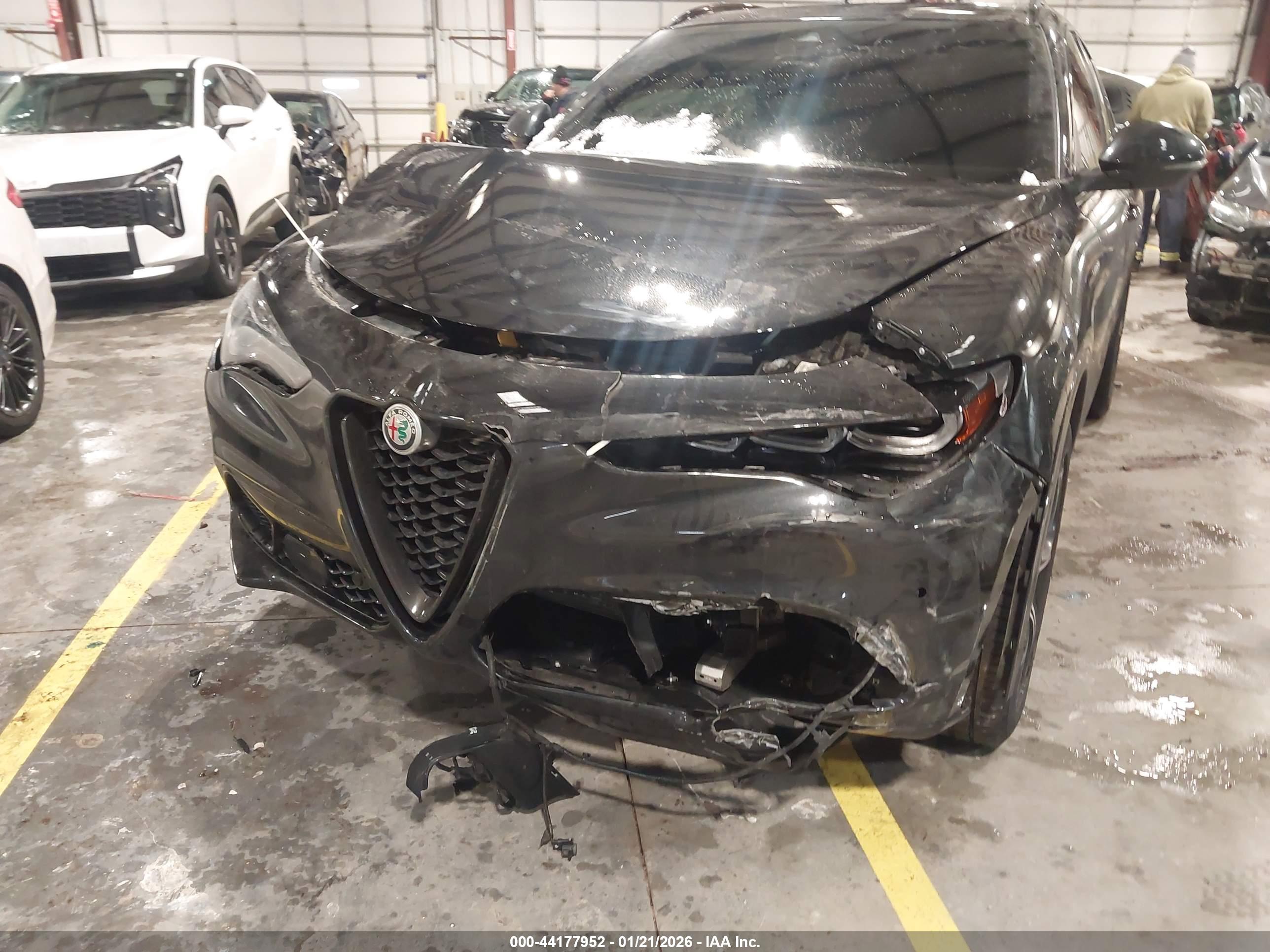 ALFA ROMEO image 6
