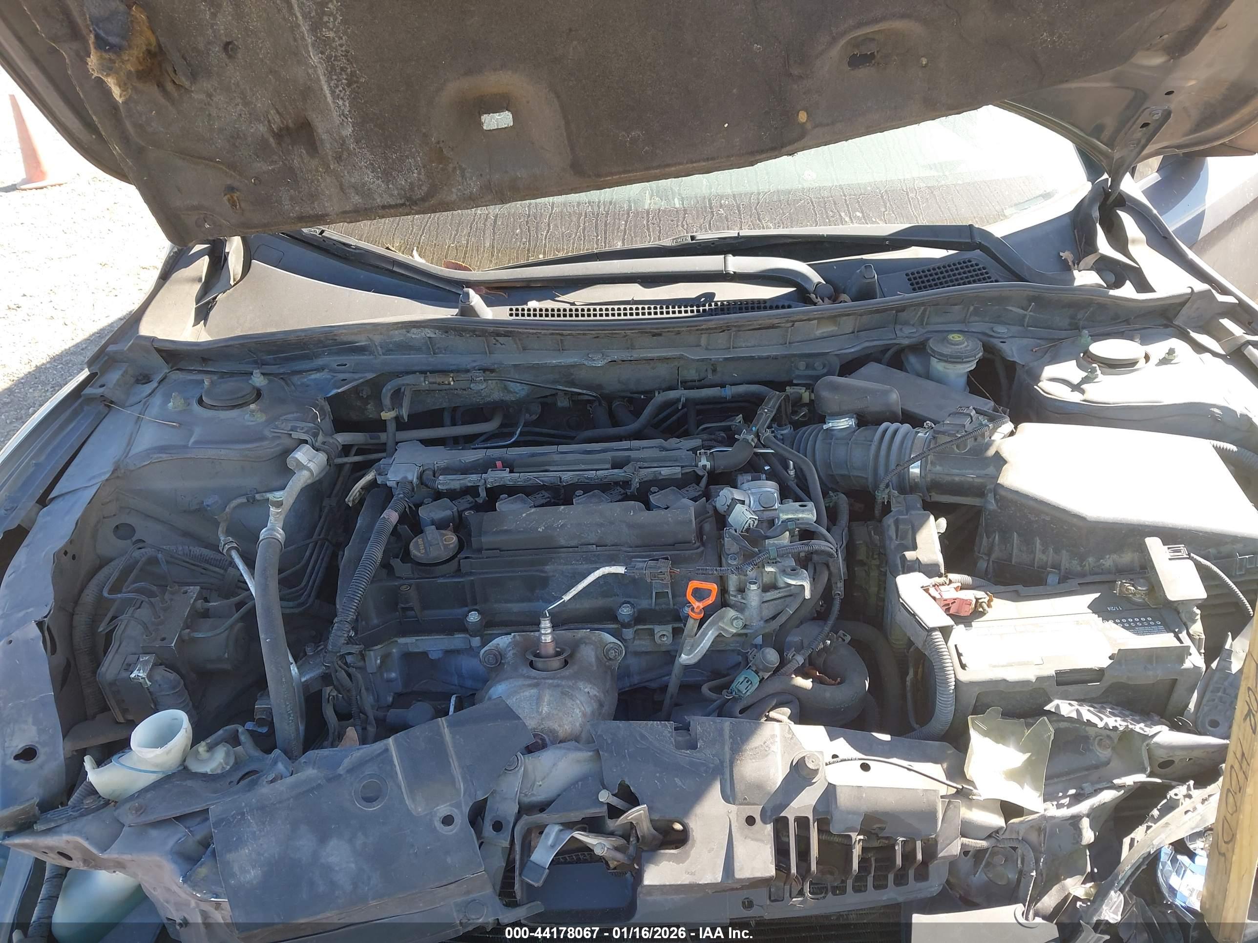 HONDA ACCORD image 10