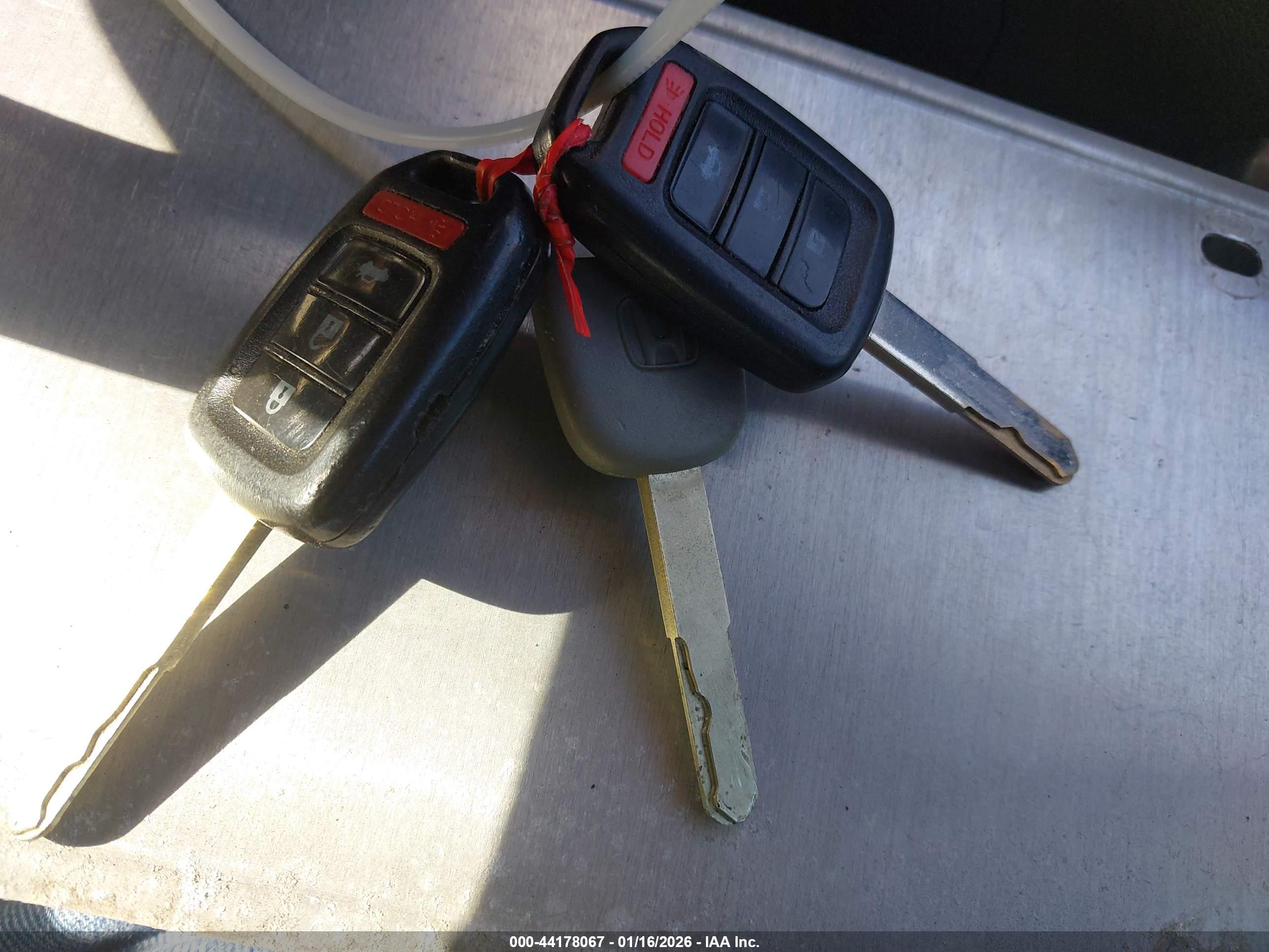 HONDA ACCORD image 11
