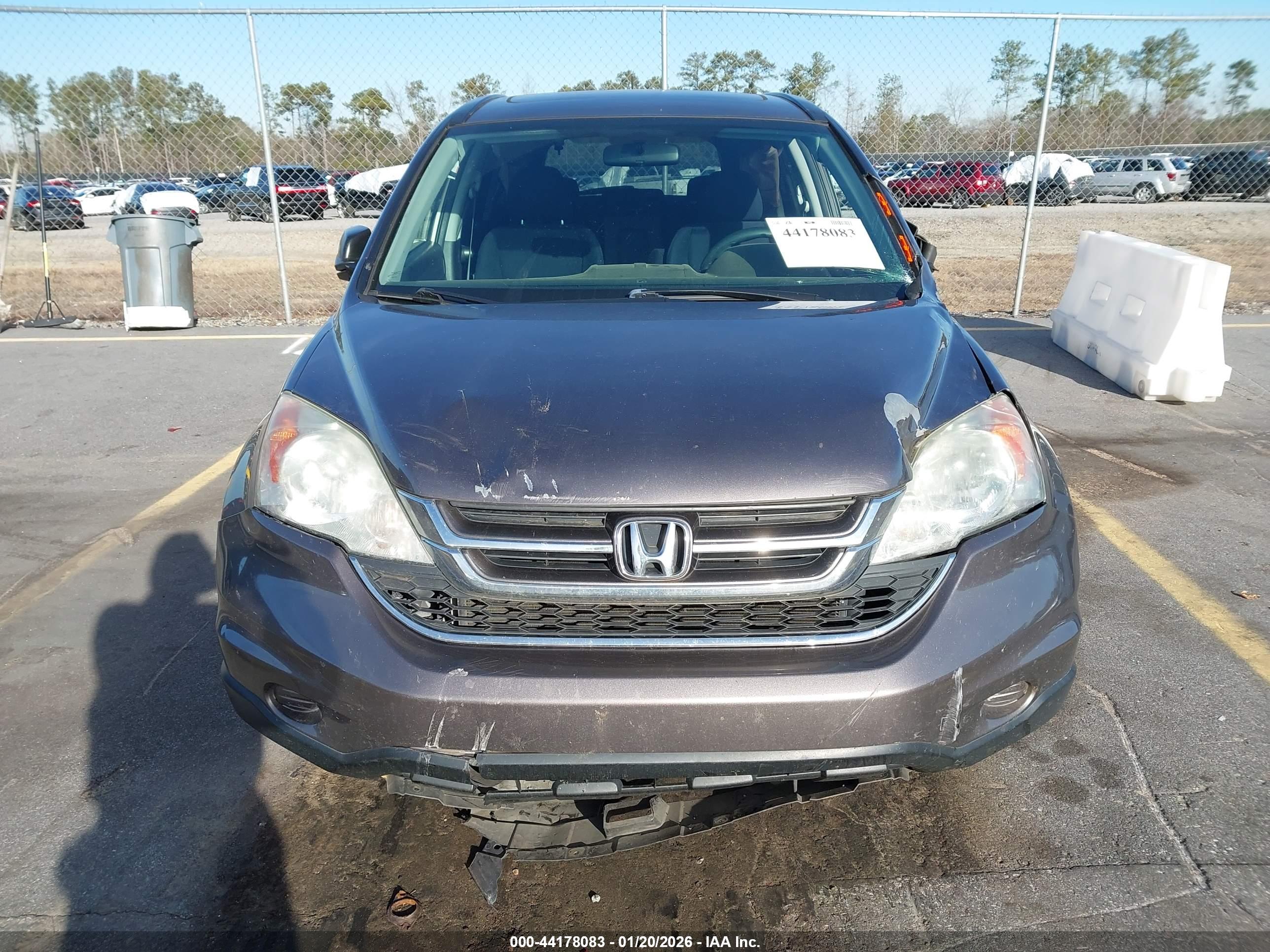 HONDA CR-V image 6