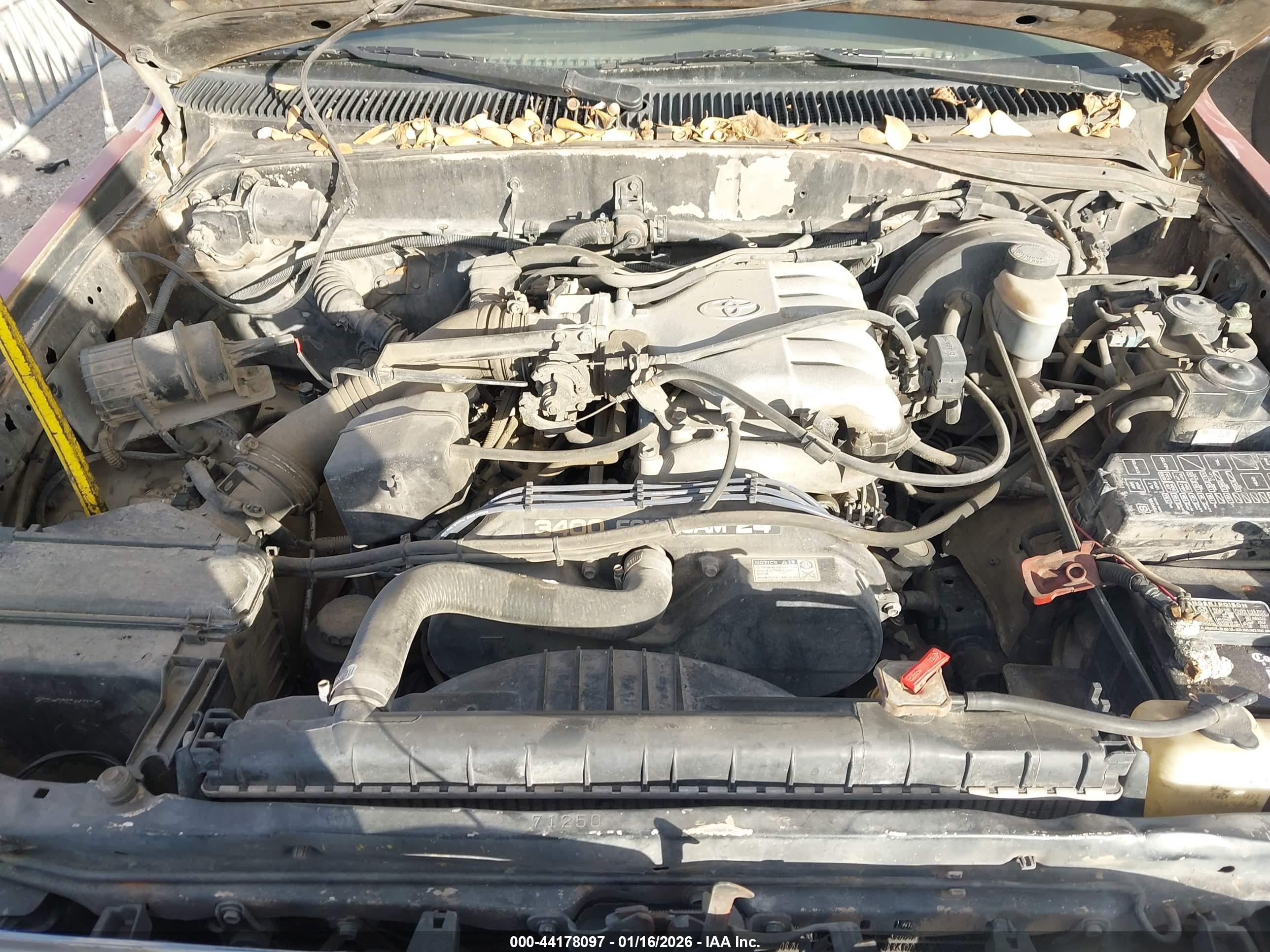 TOYOTA TACOMA image 10