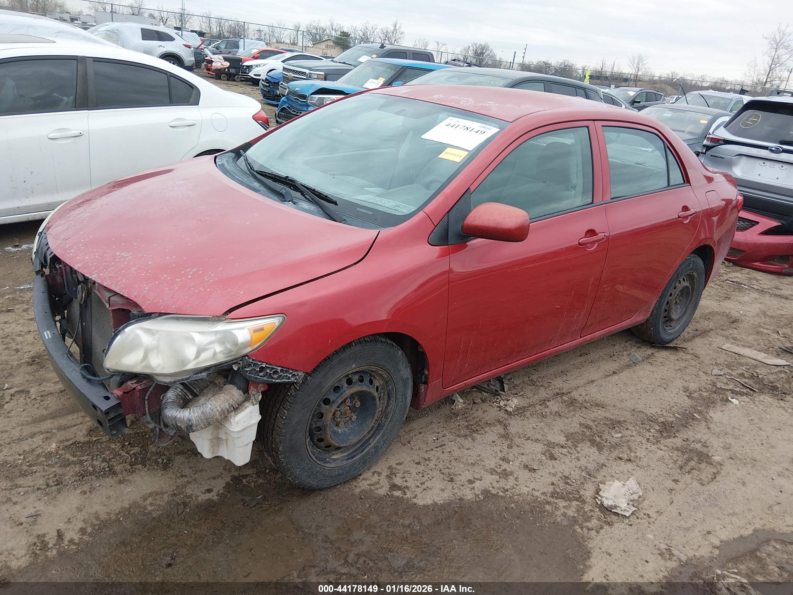 TOYOTA COROLLA image 2
