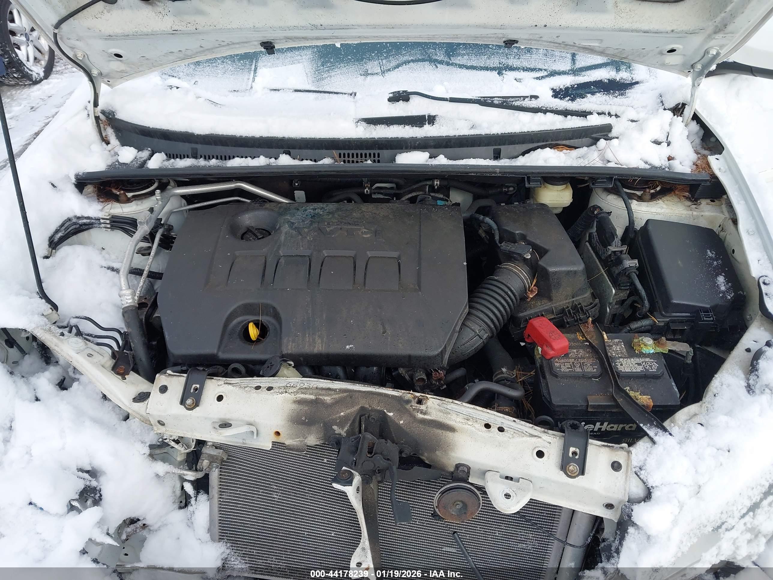 TOYOTA COROLLA image 10