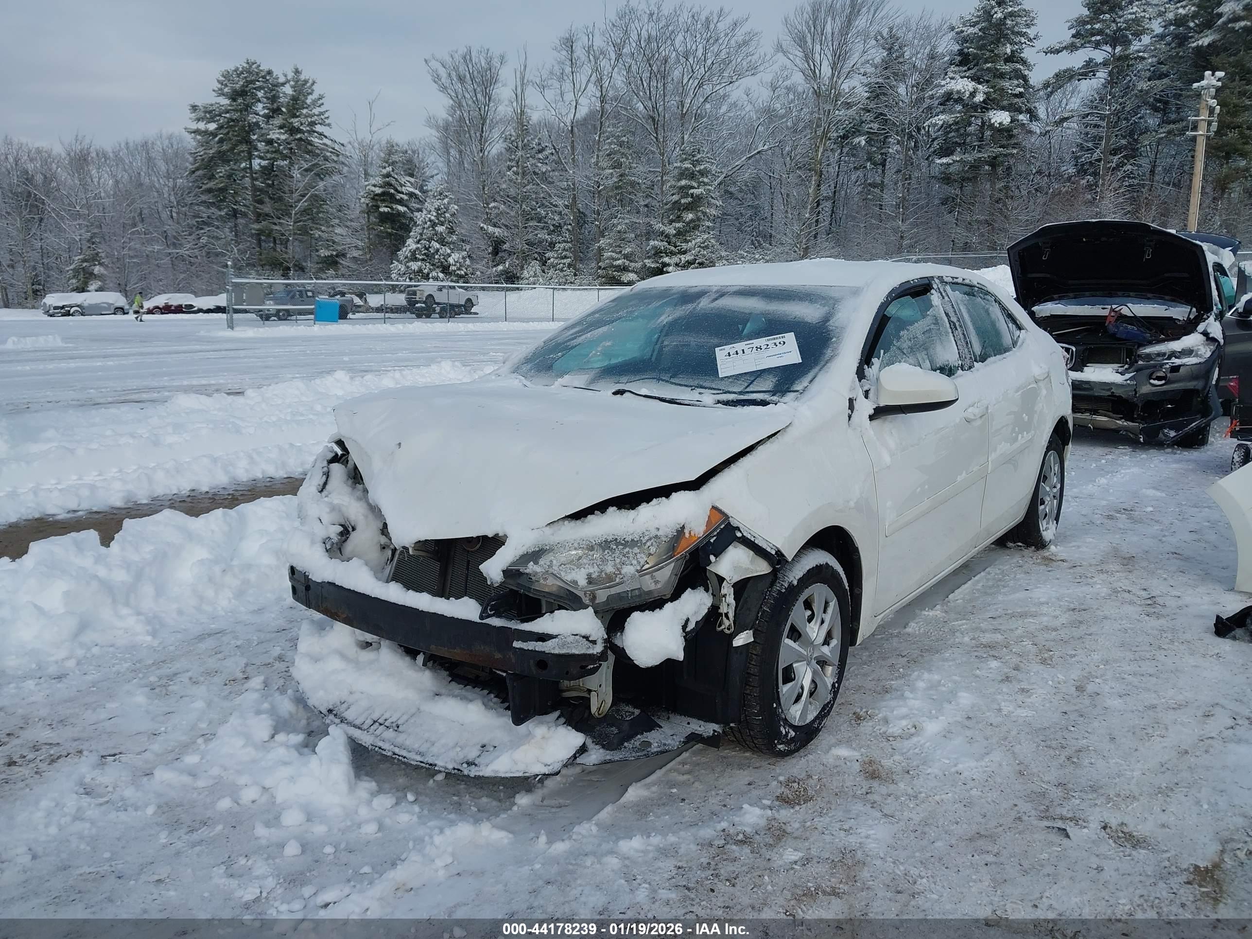 TOYOTA COROLLA image 2