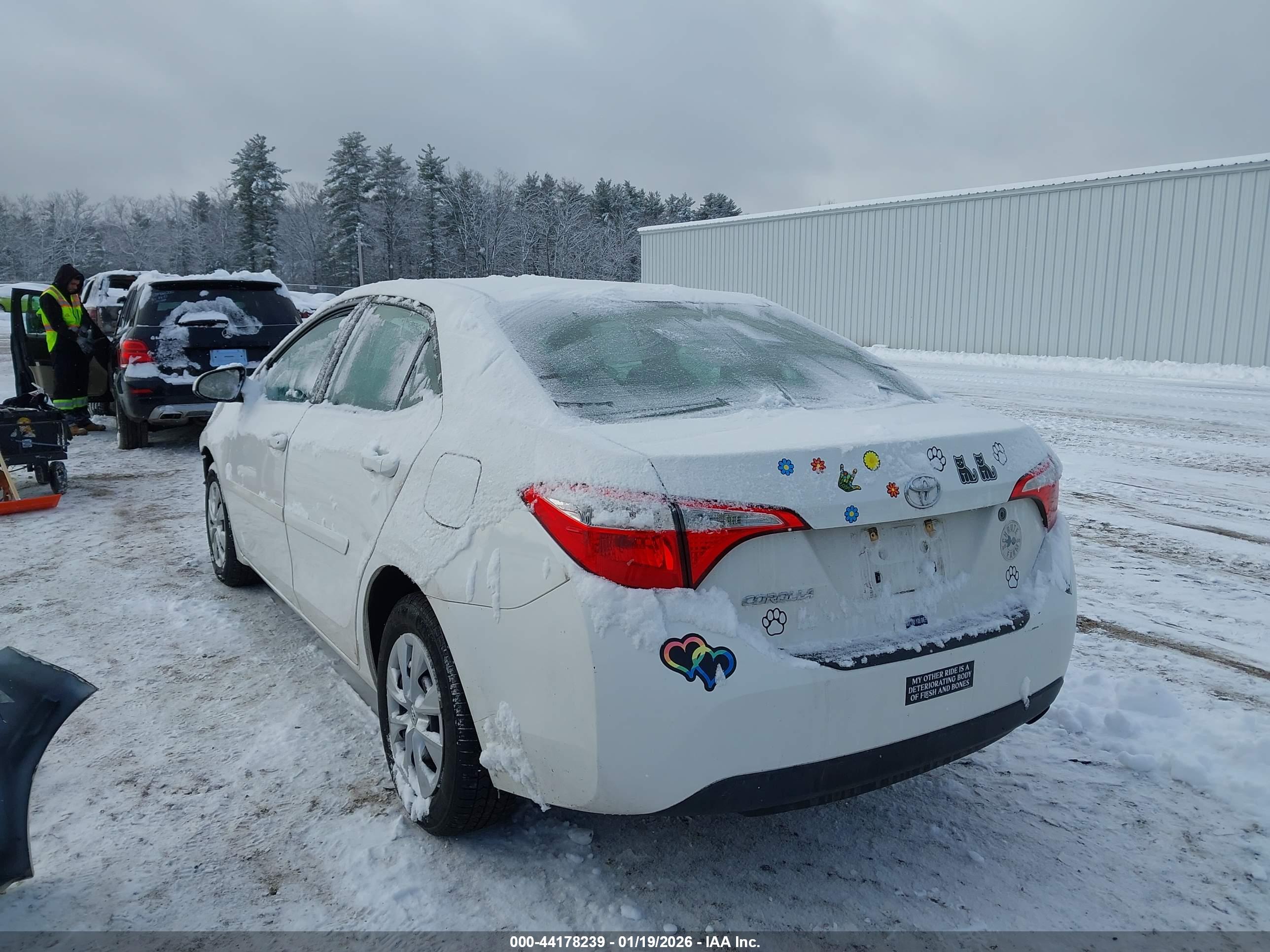 TOYOTA COROLLA image 3