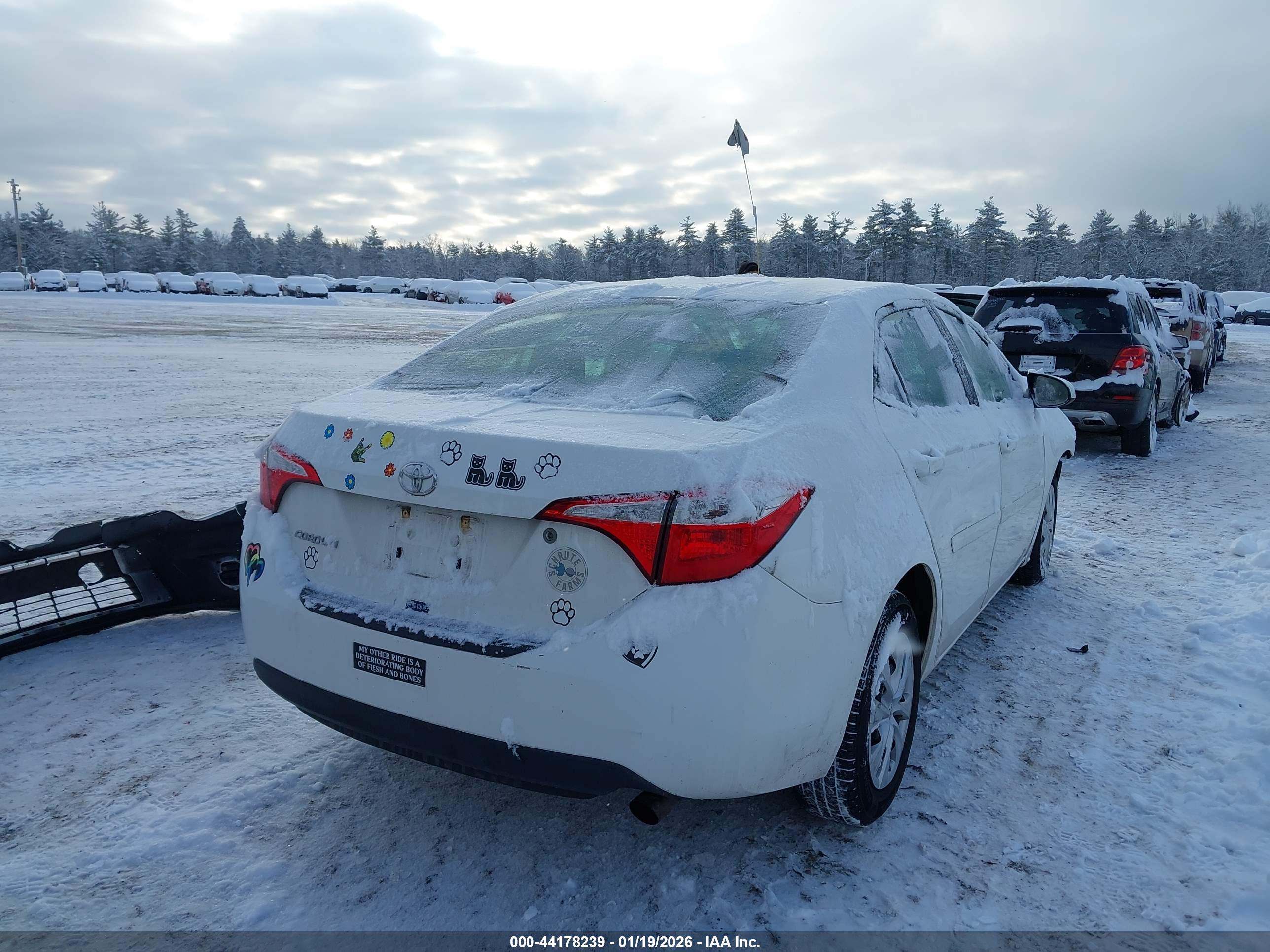 TOYOTA COROLLA image 4