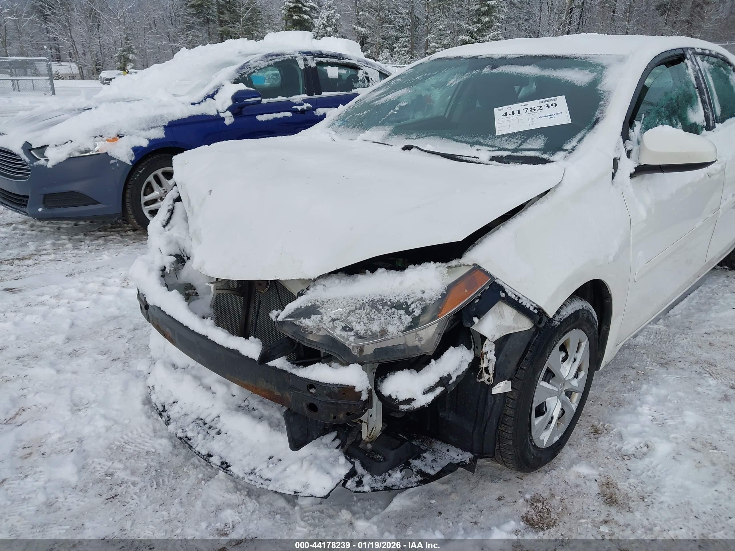 TOYOTA COROLLA image 6