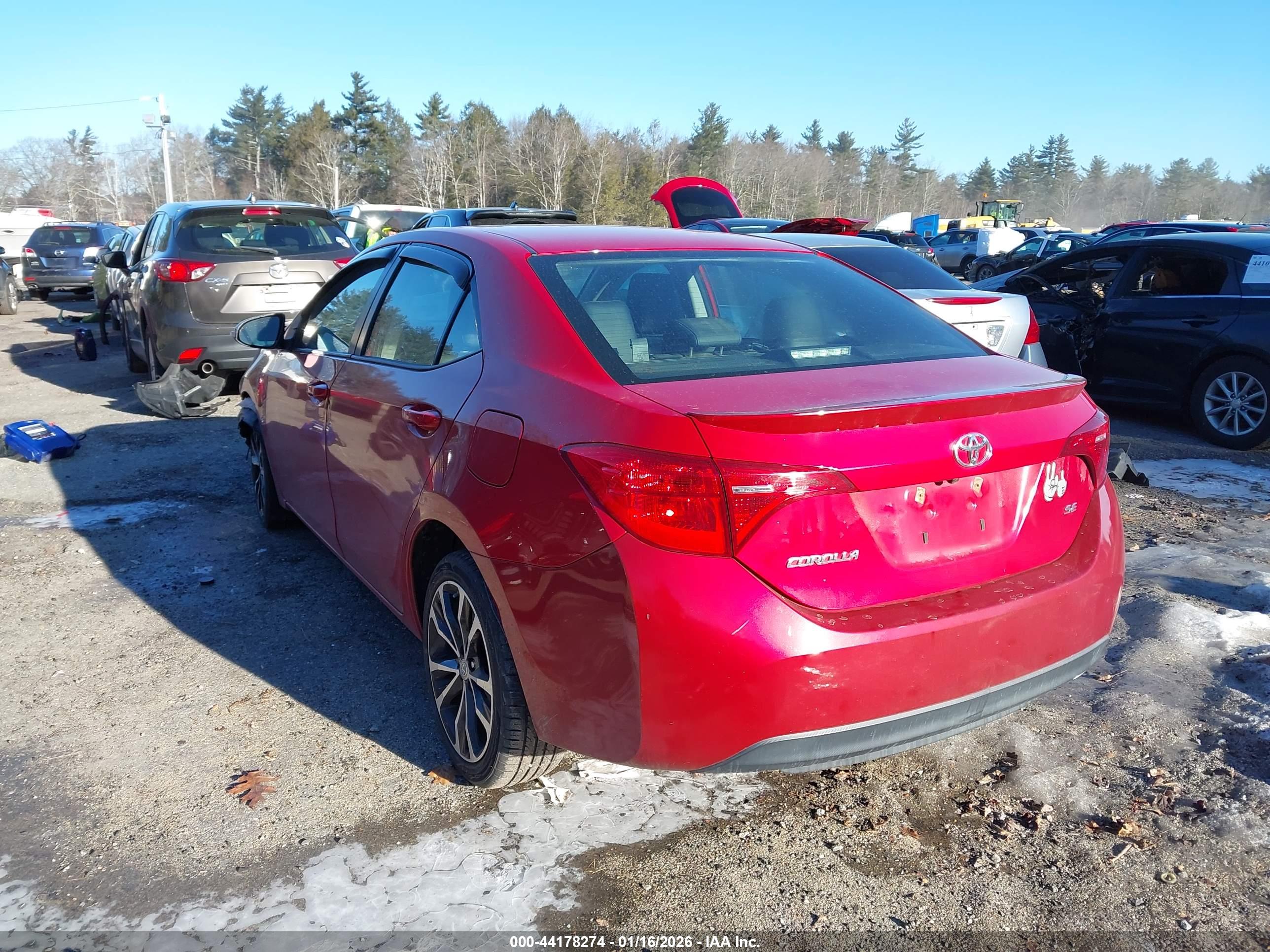 TOYOTA COROLLA image 3