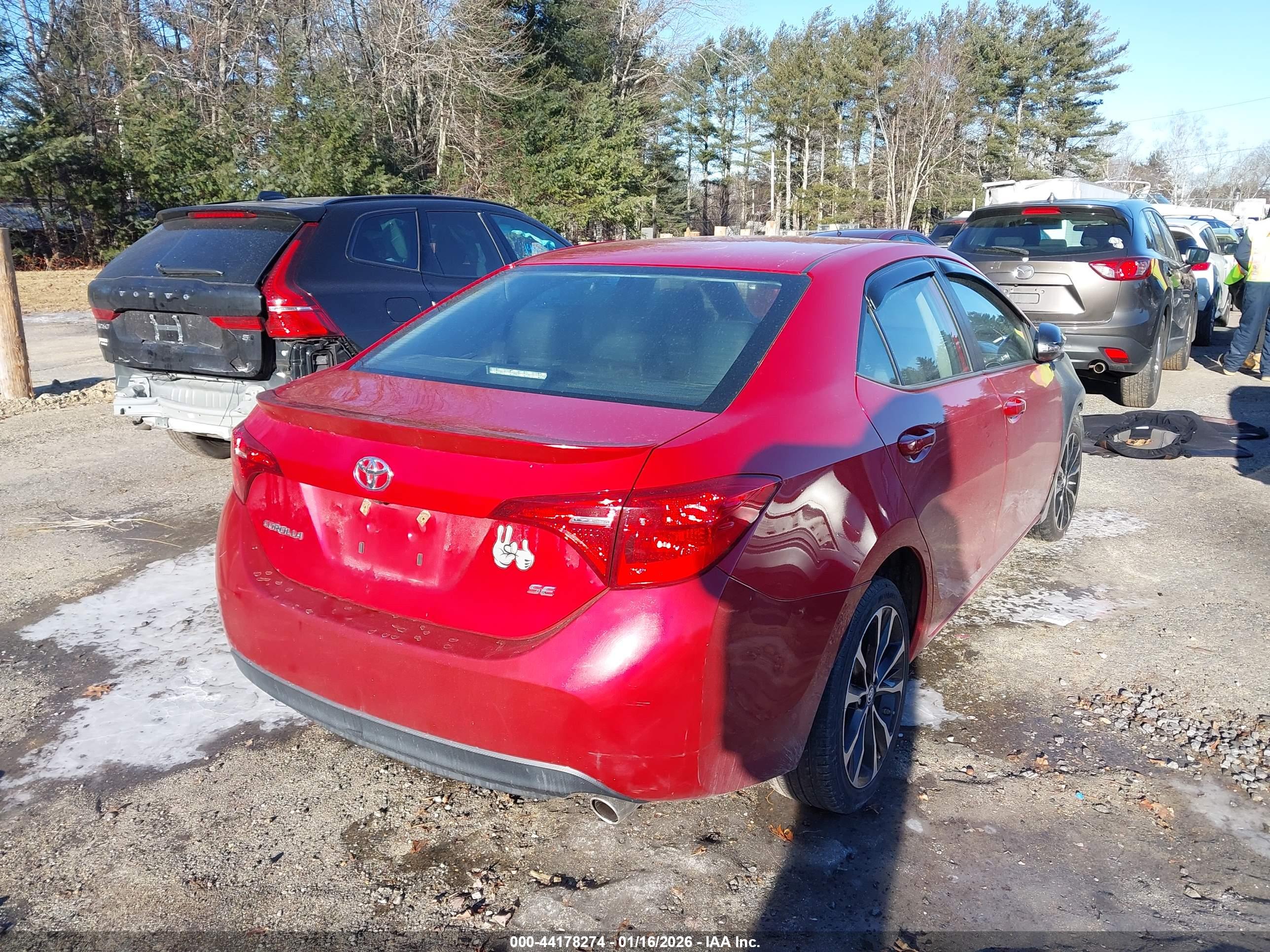 TOYOTA COROLLA image 4