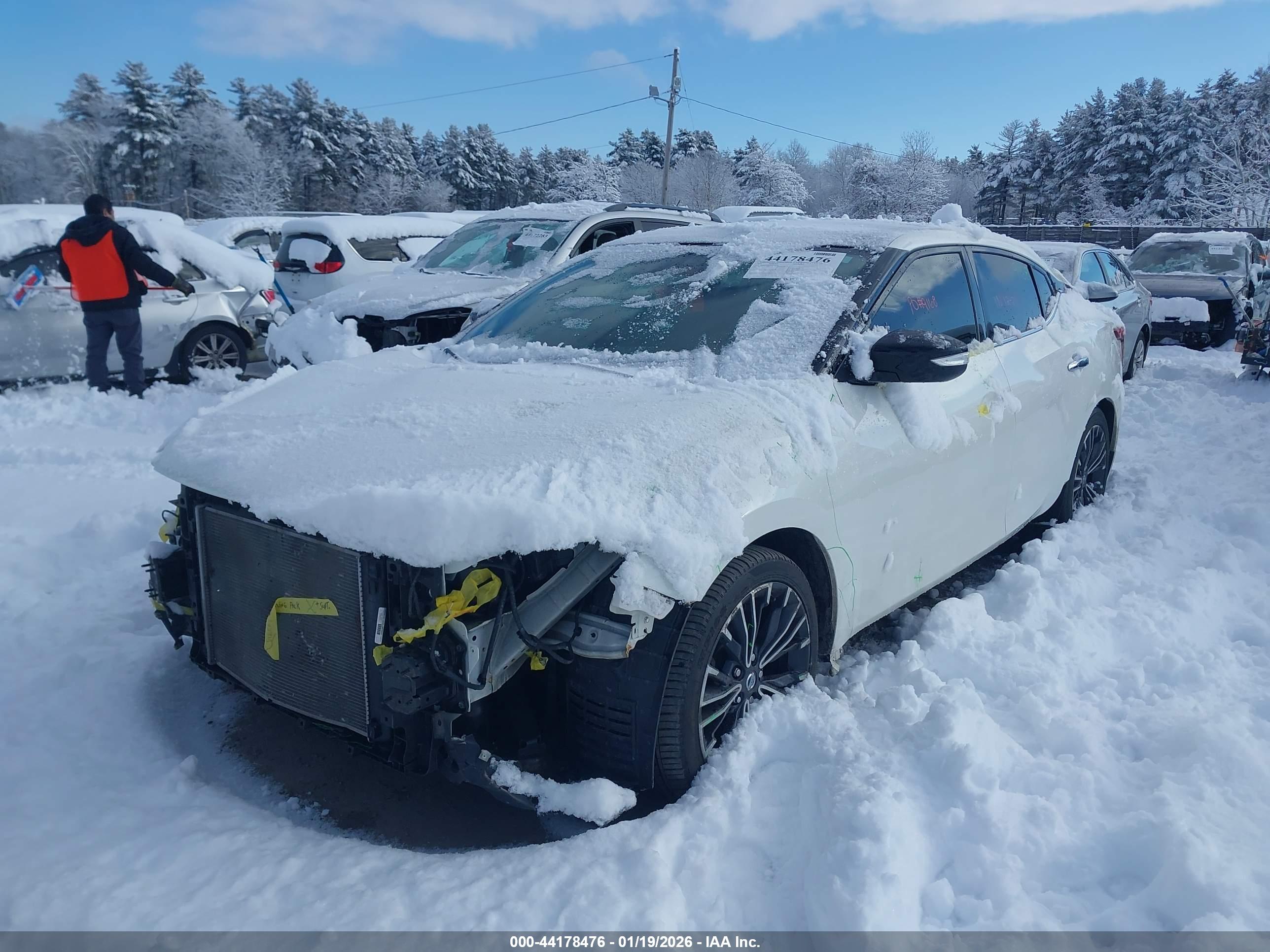 NISSAN MAXIMA image 2