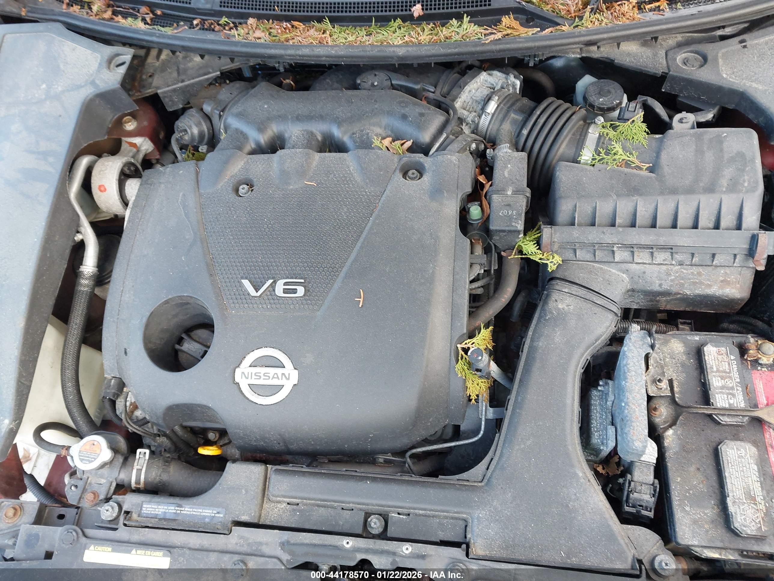 NISSAN MAXIMA image 10