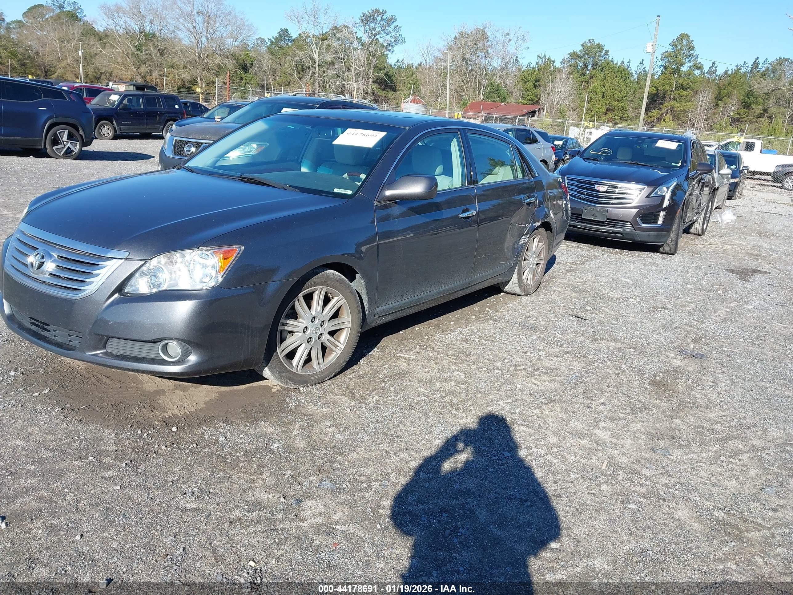 TOYOTA AVALON image 2