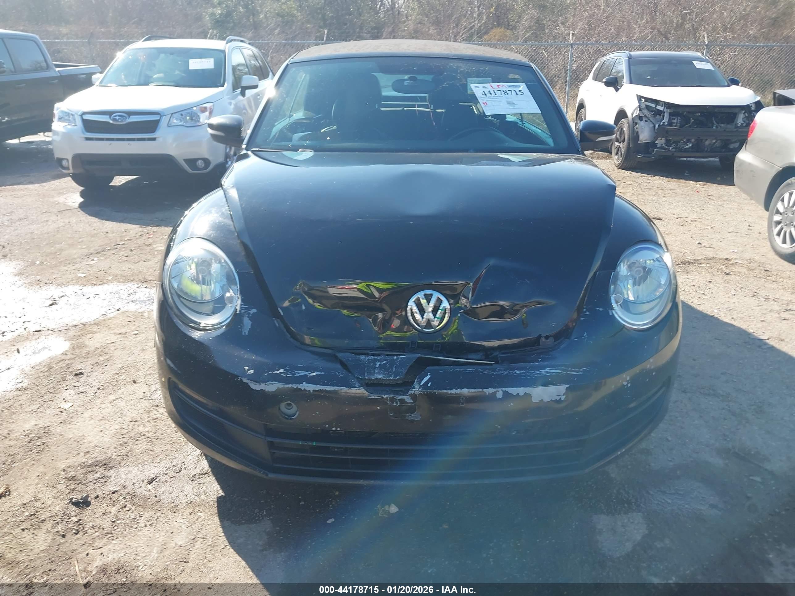 VOLKSWAGEN BEETLE image 6