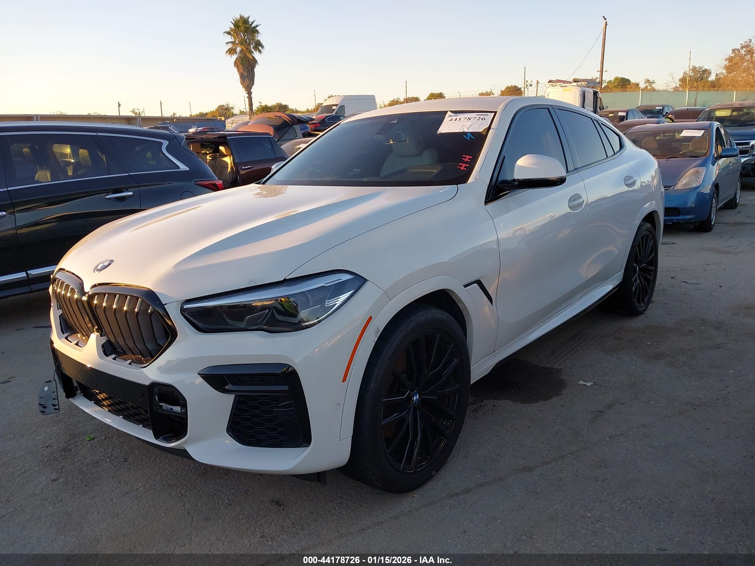 BMW X6 image 2
