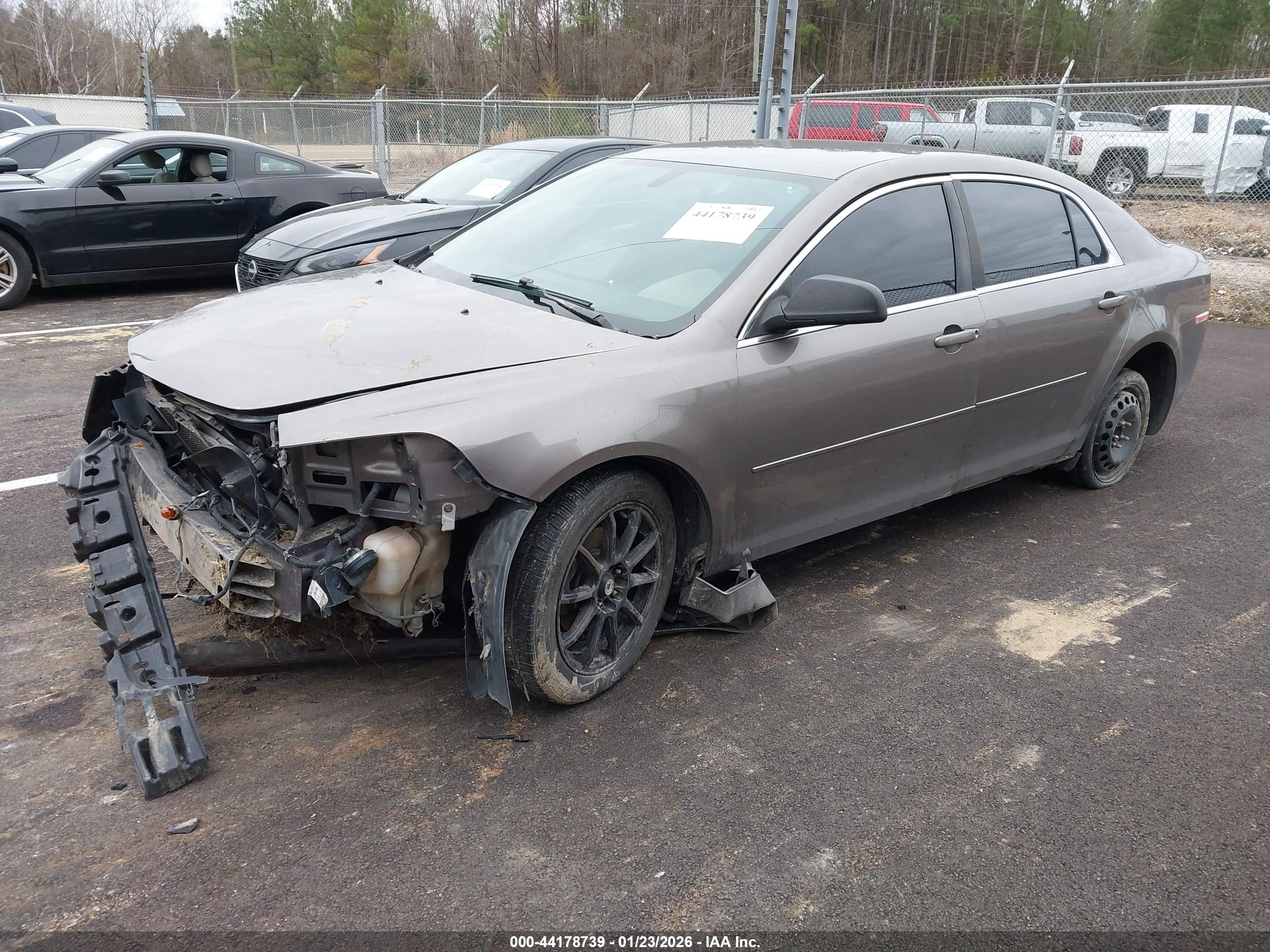 CHEVROLET MALIBU image 2