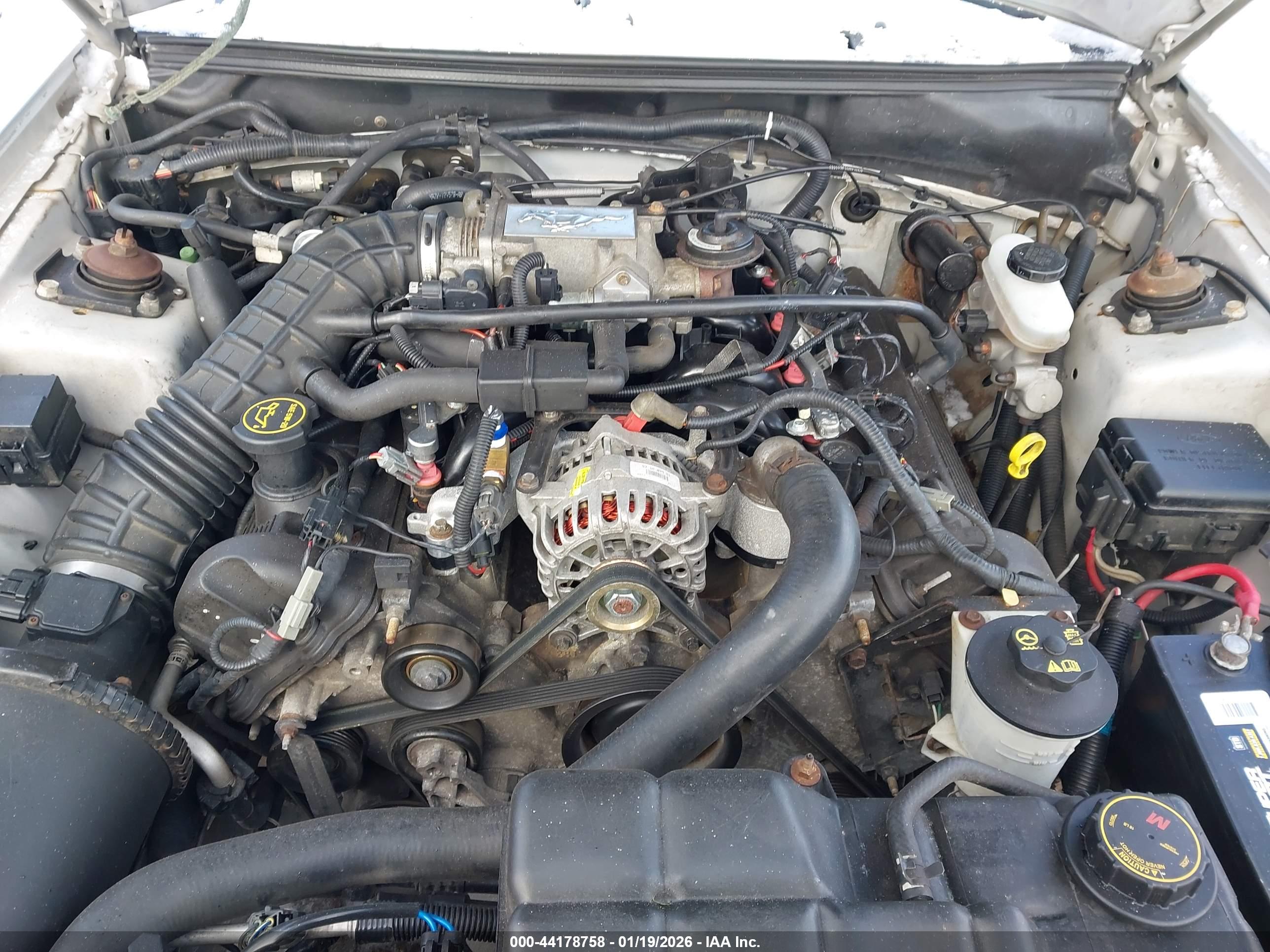 FORD MUSTANG image 10