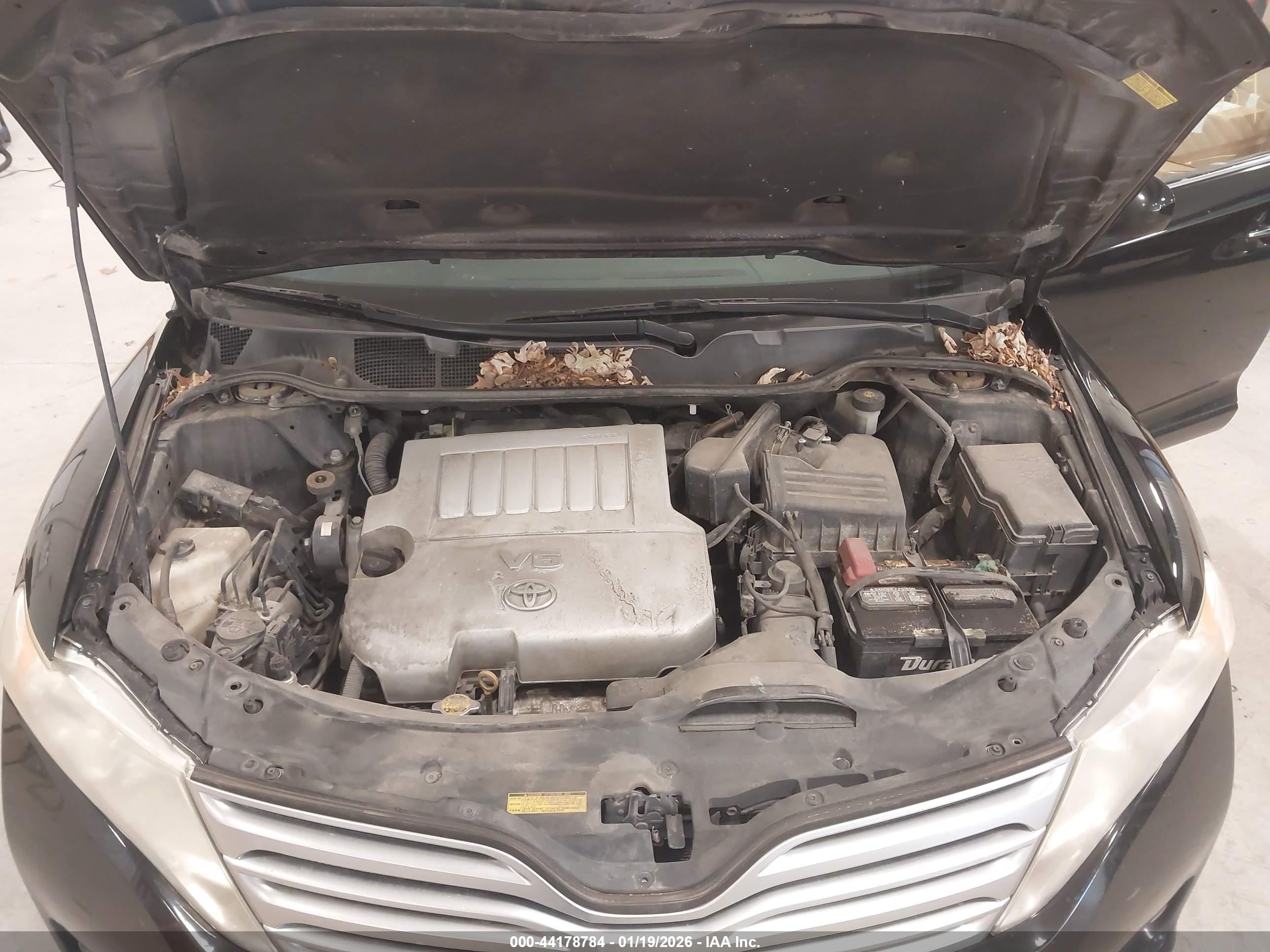 TOYOTA VENZA image 10