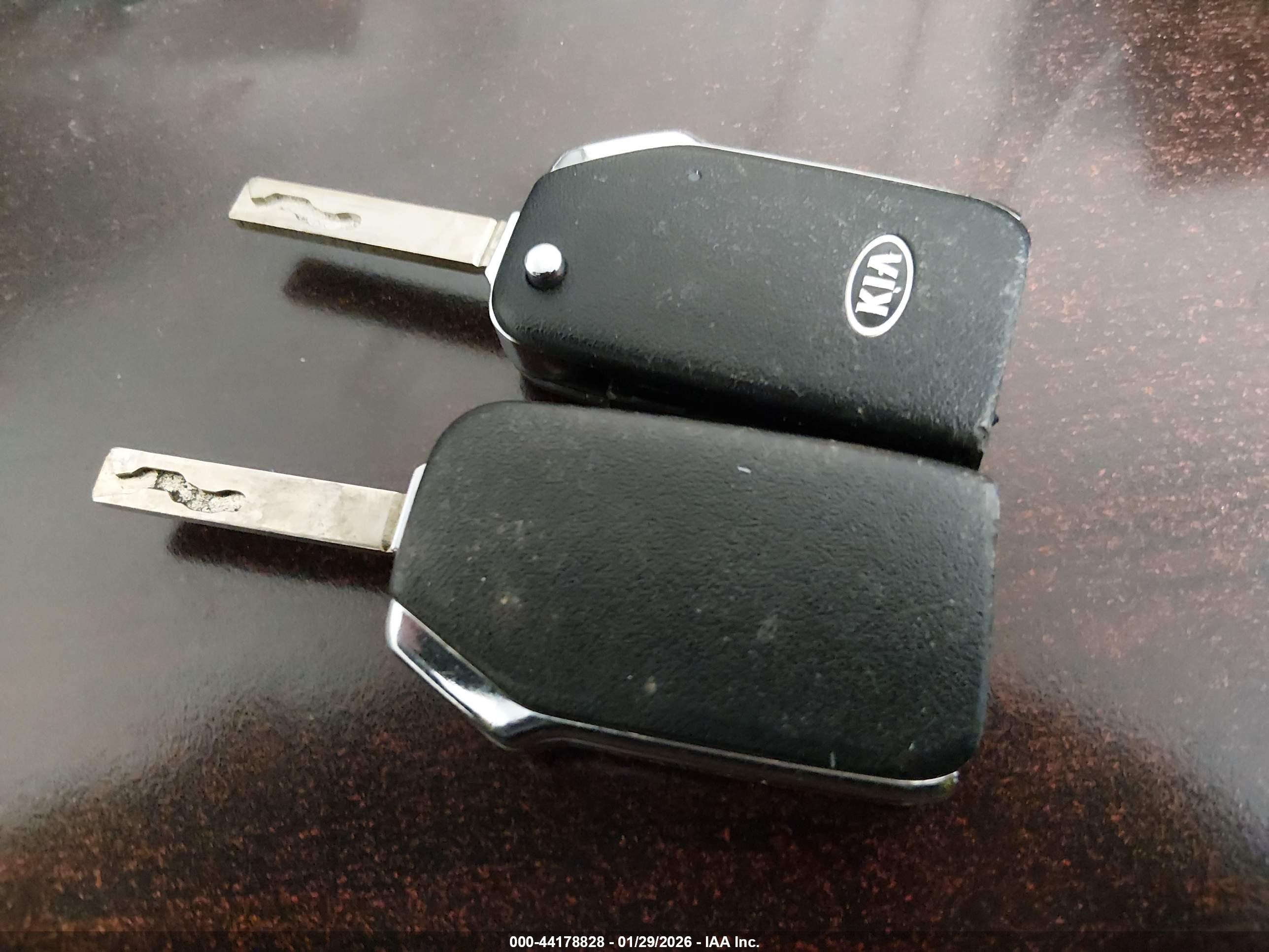 KIA SELTOS image 11