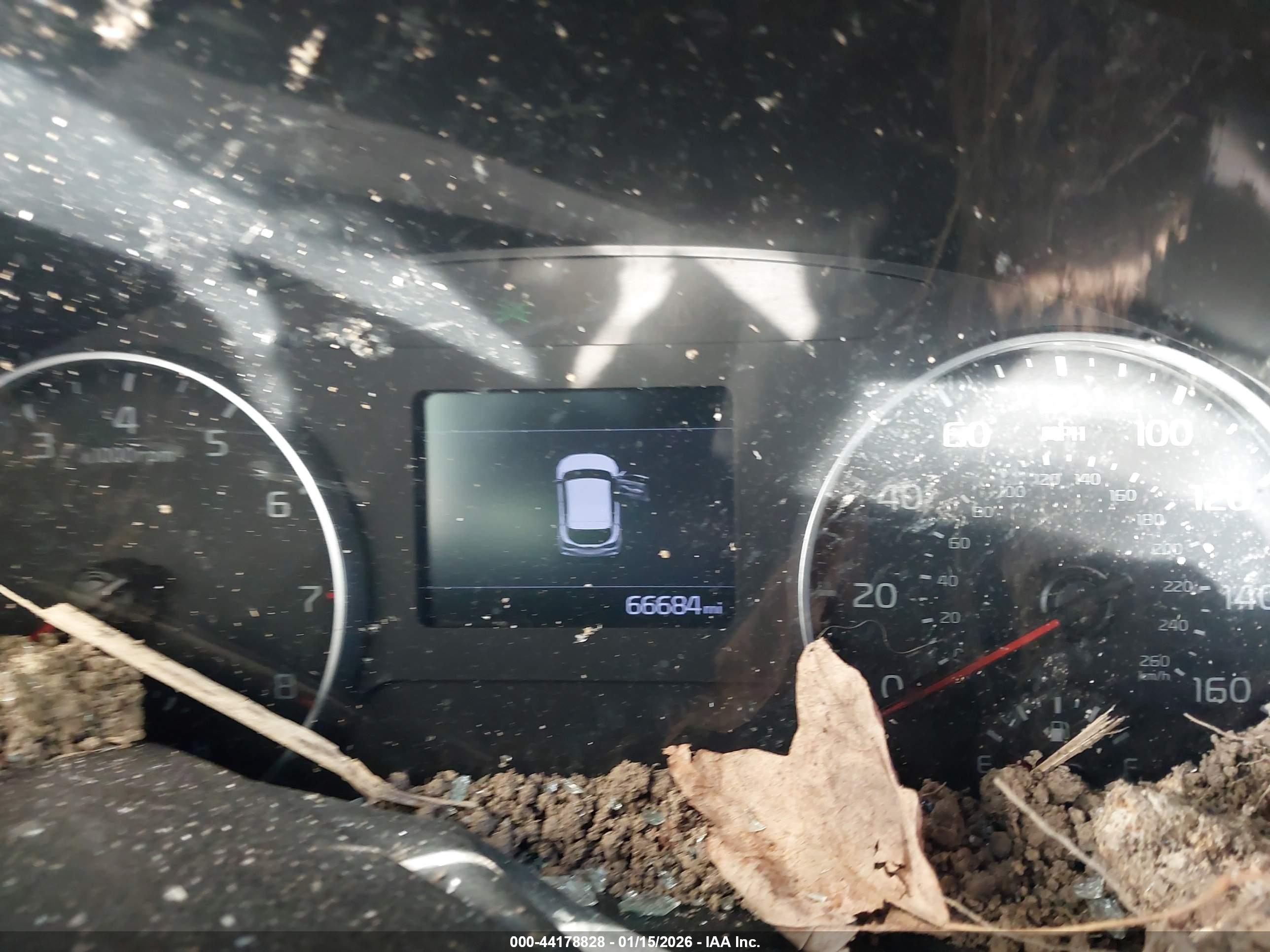 KIA SELTOS image 7