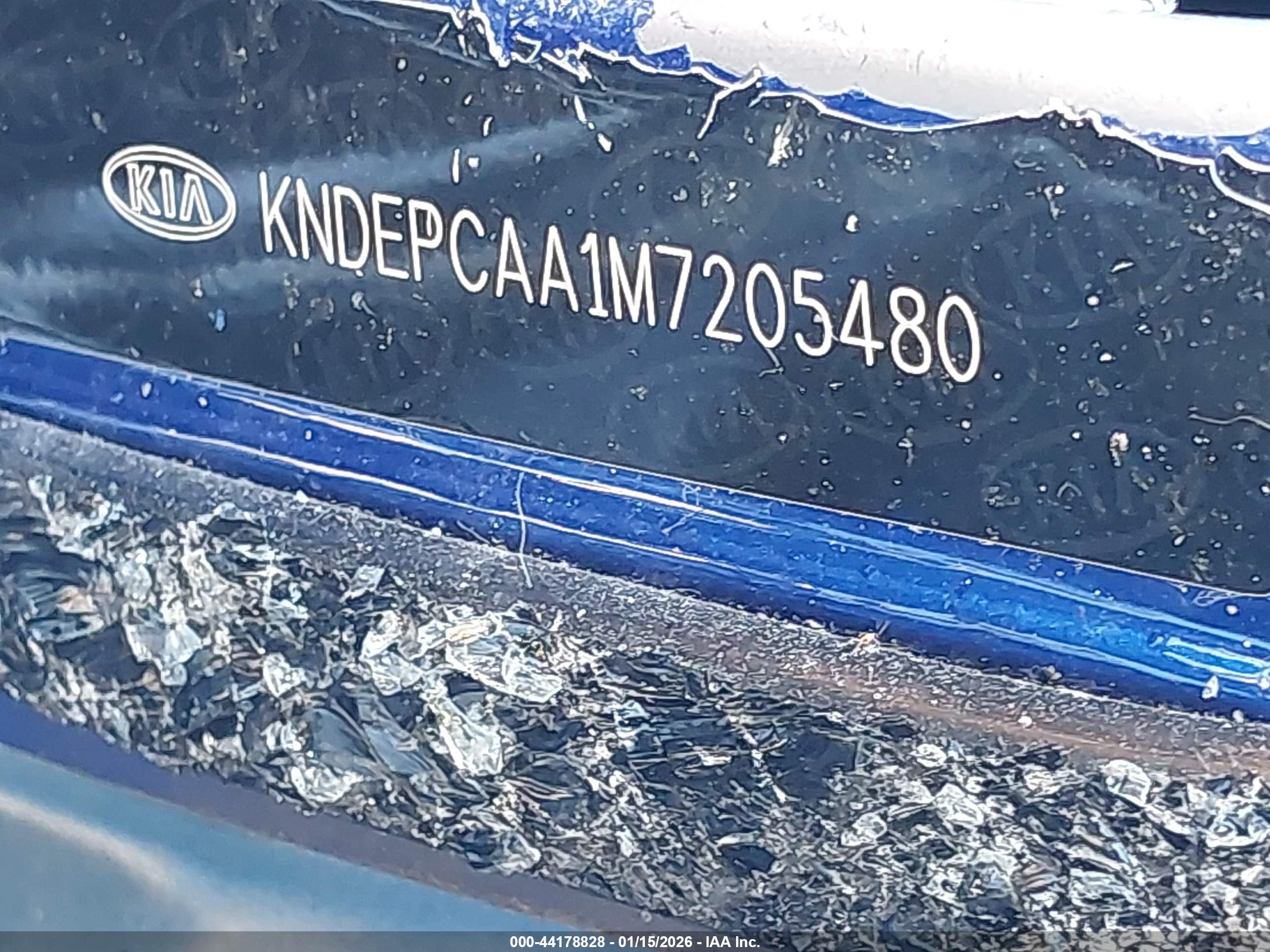 KIA SELTOS image 9