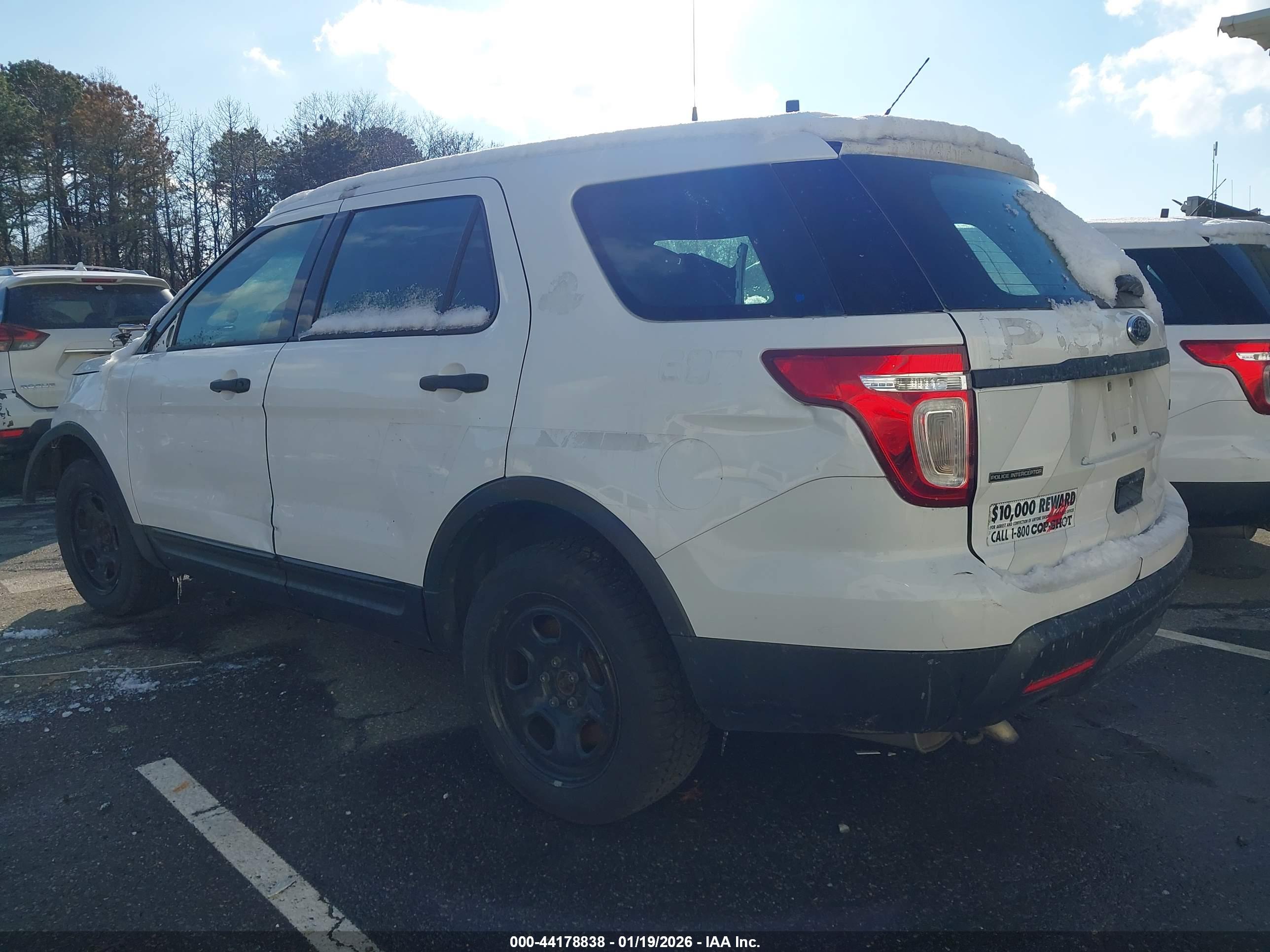 FORD UTILITY image 3