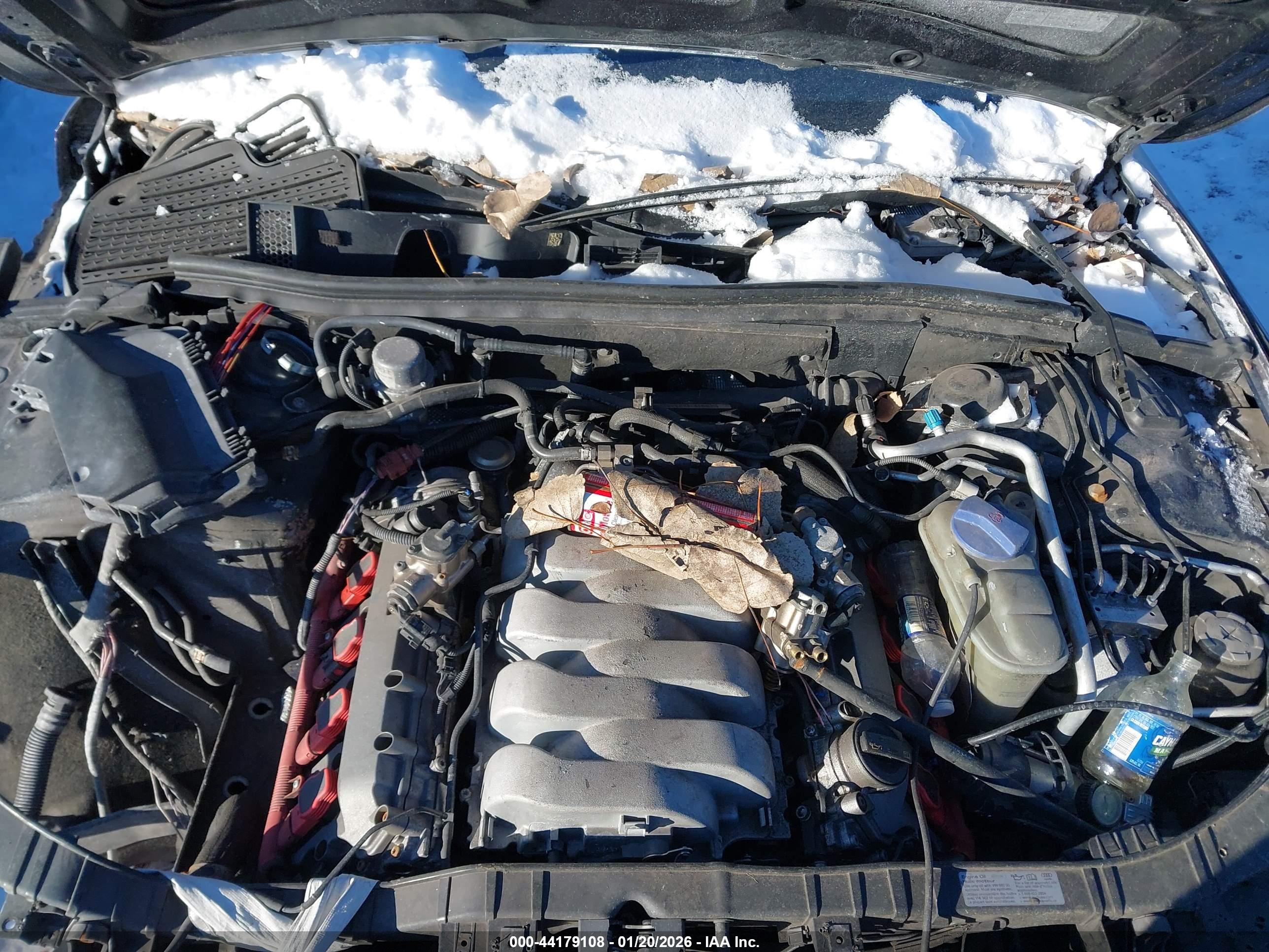 AUDI S5 image 10