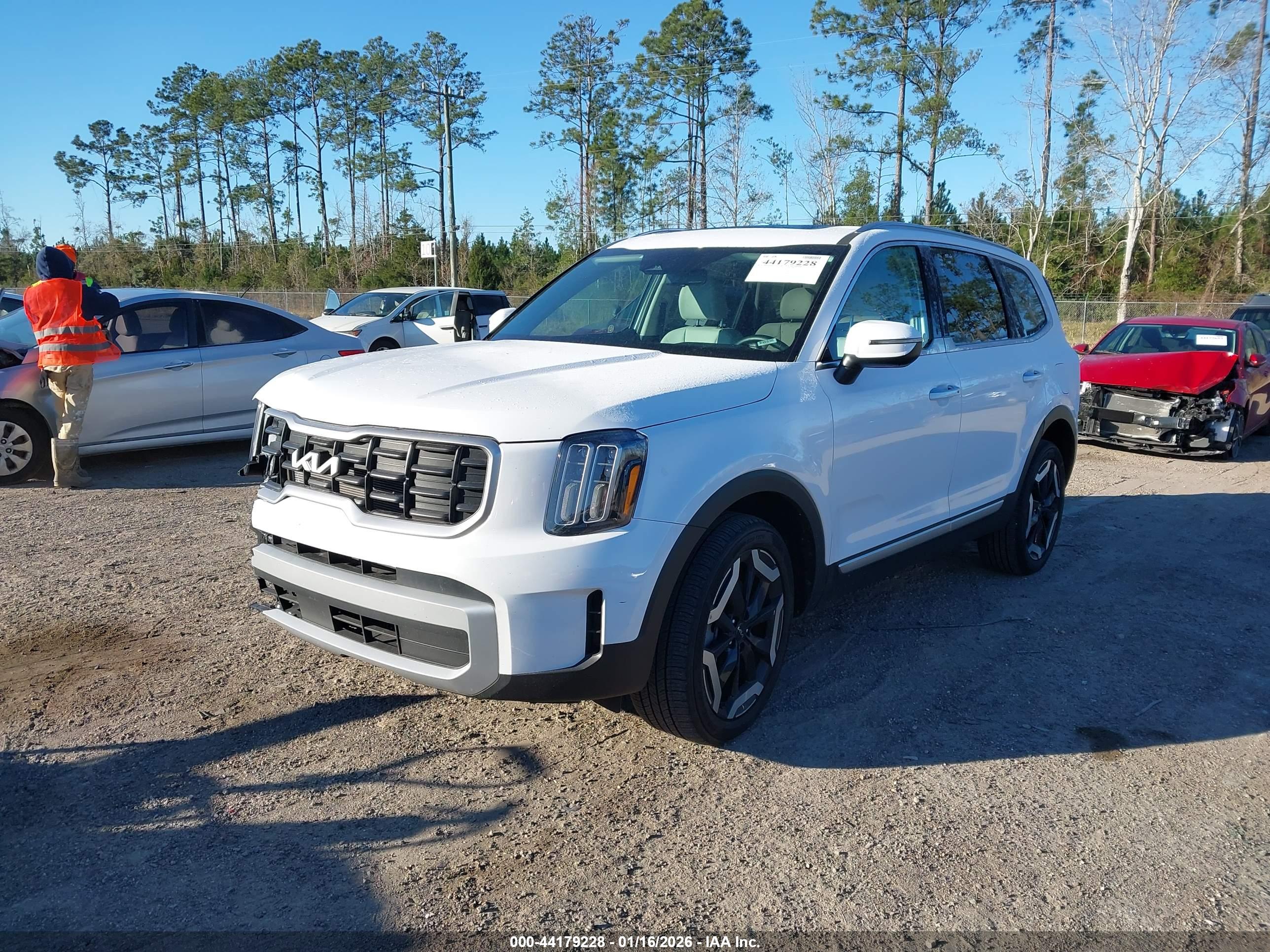 KIA TELLURIDE image 2