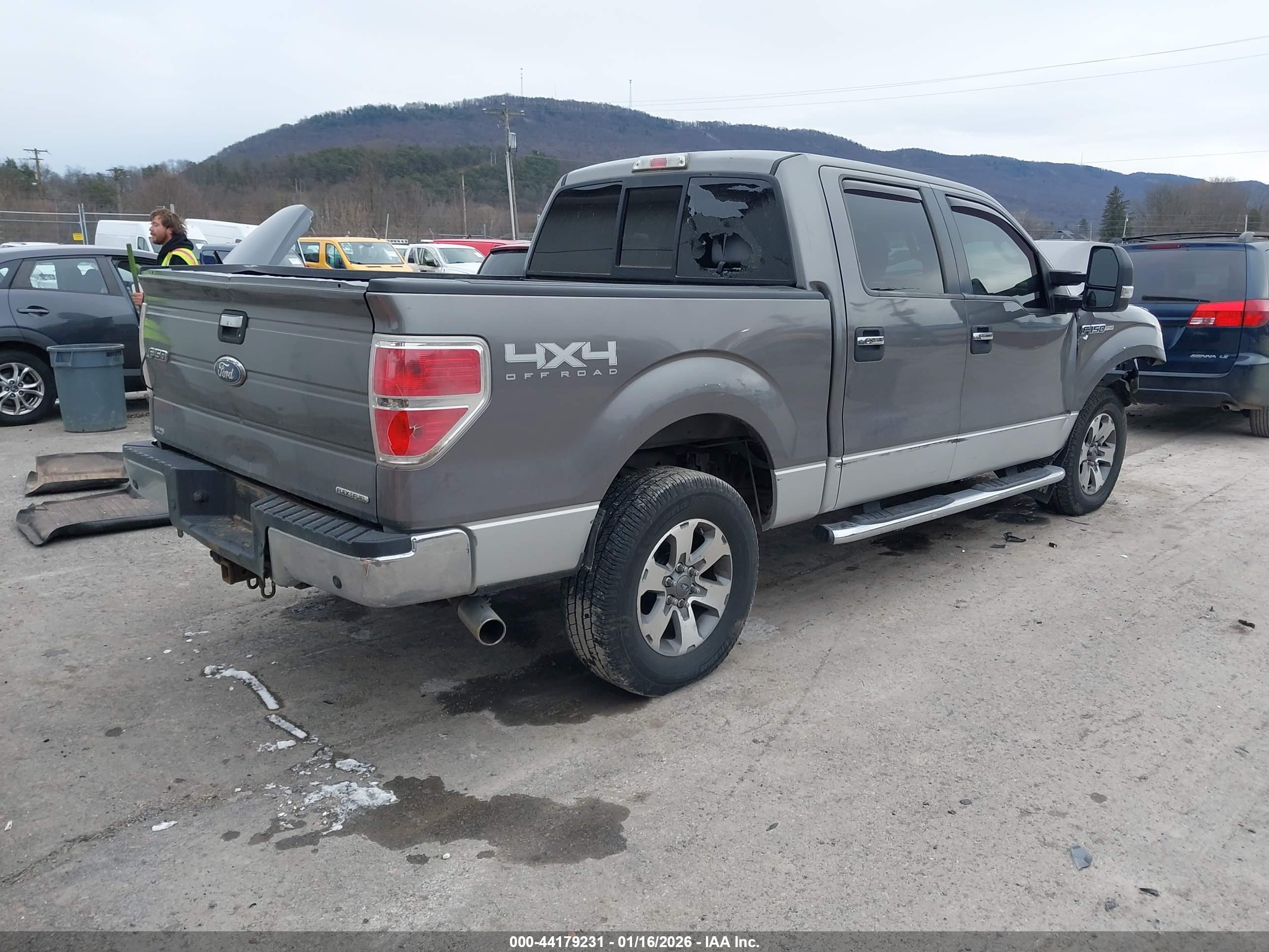 FORD F-150 image 4