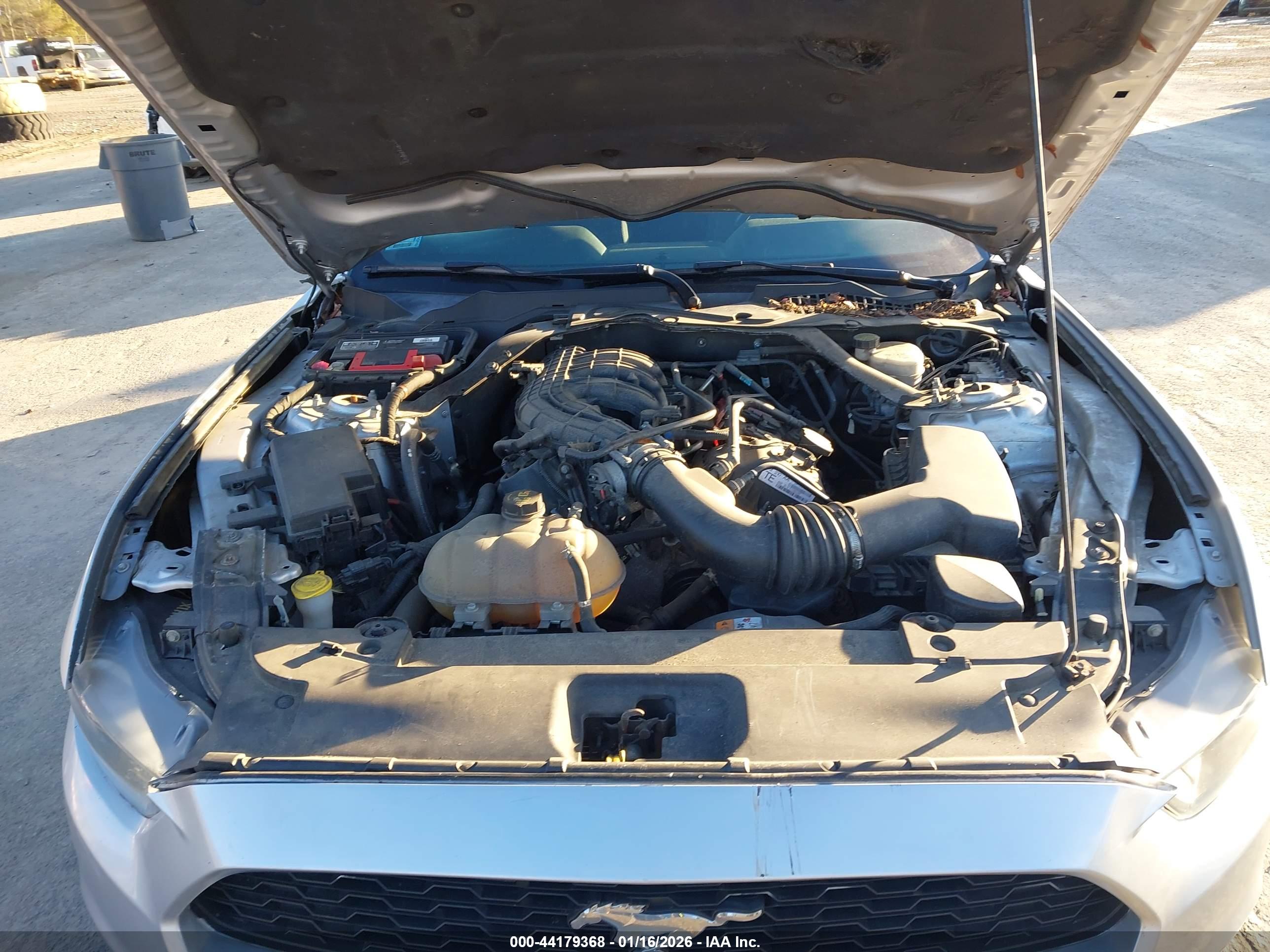 FORD MUSTANG image 10