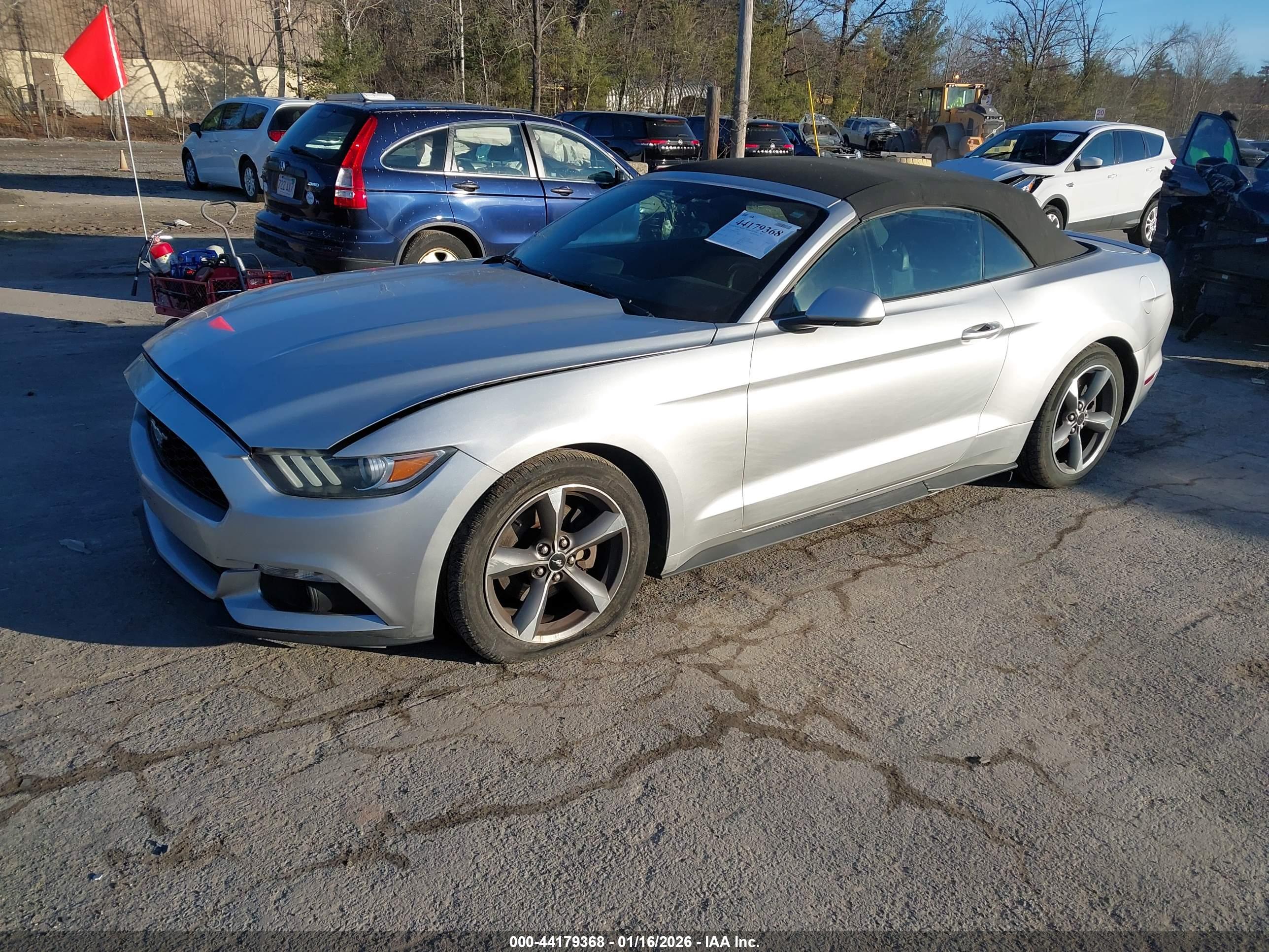 FORD MUSTANG image 2