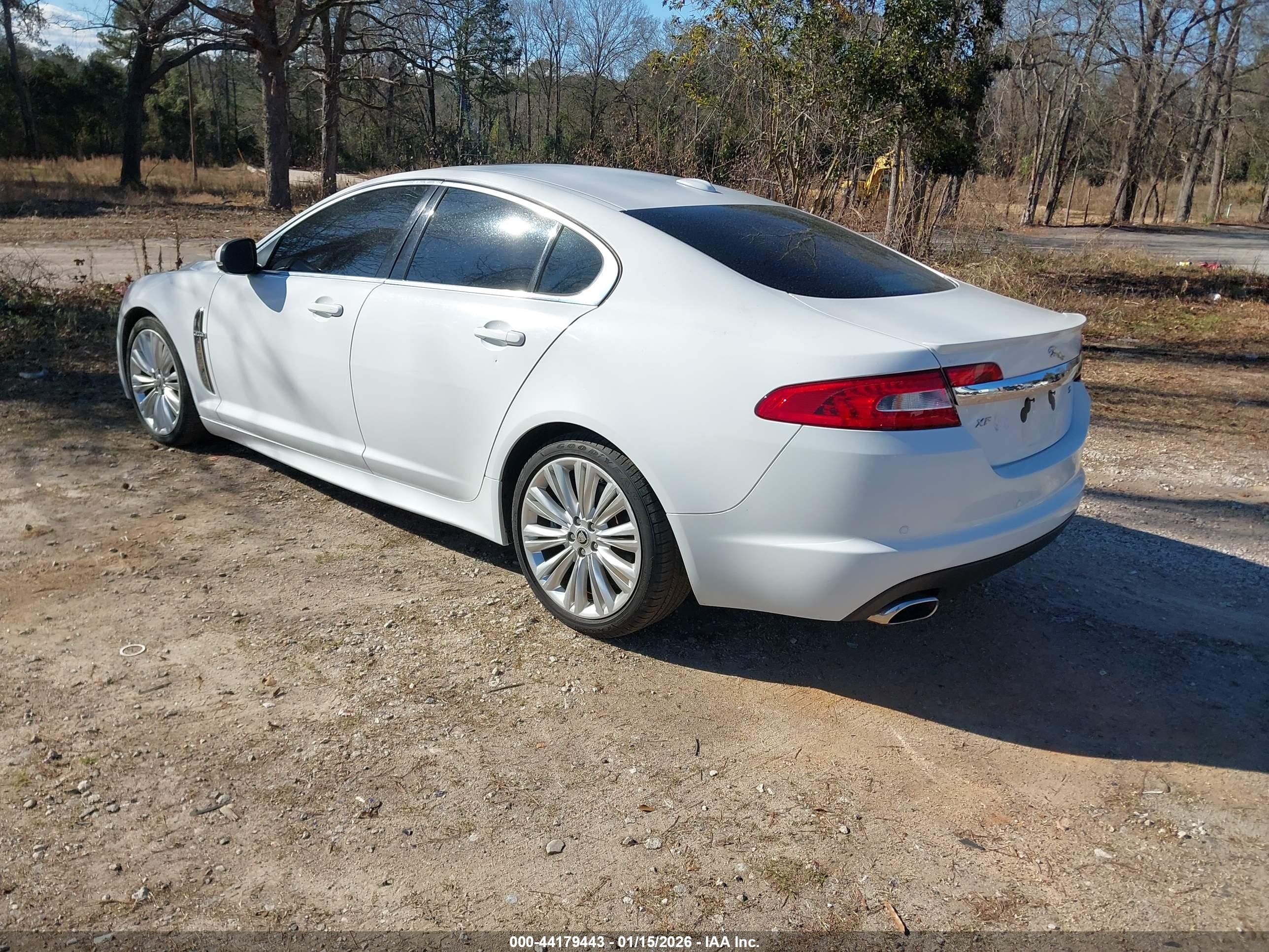 JAGUAR XF image 3