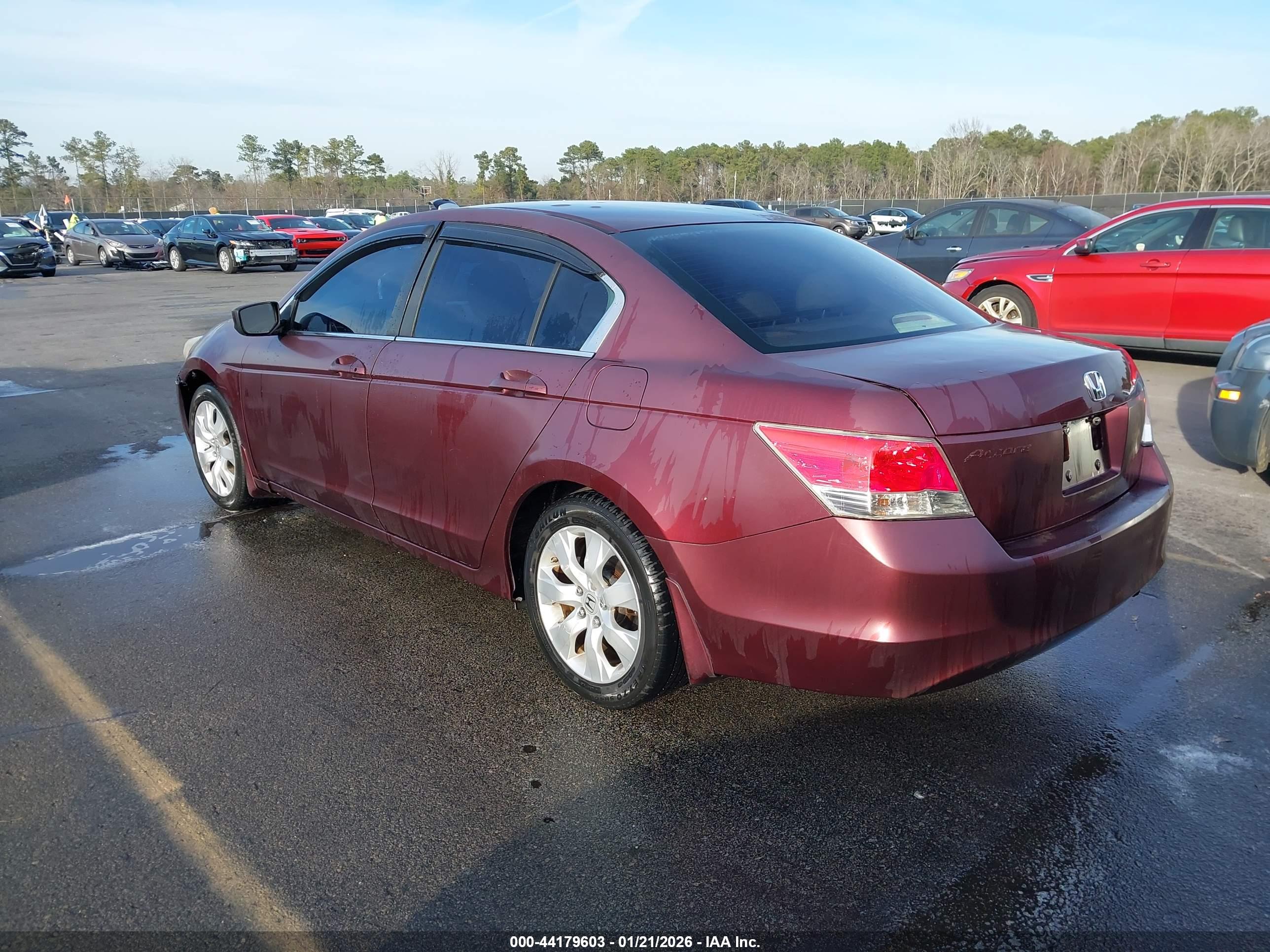HONDA ACCORD image 3