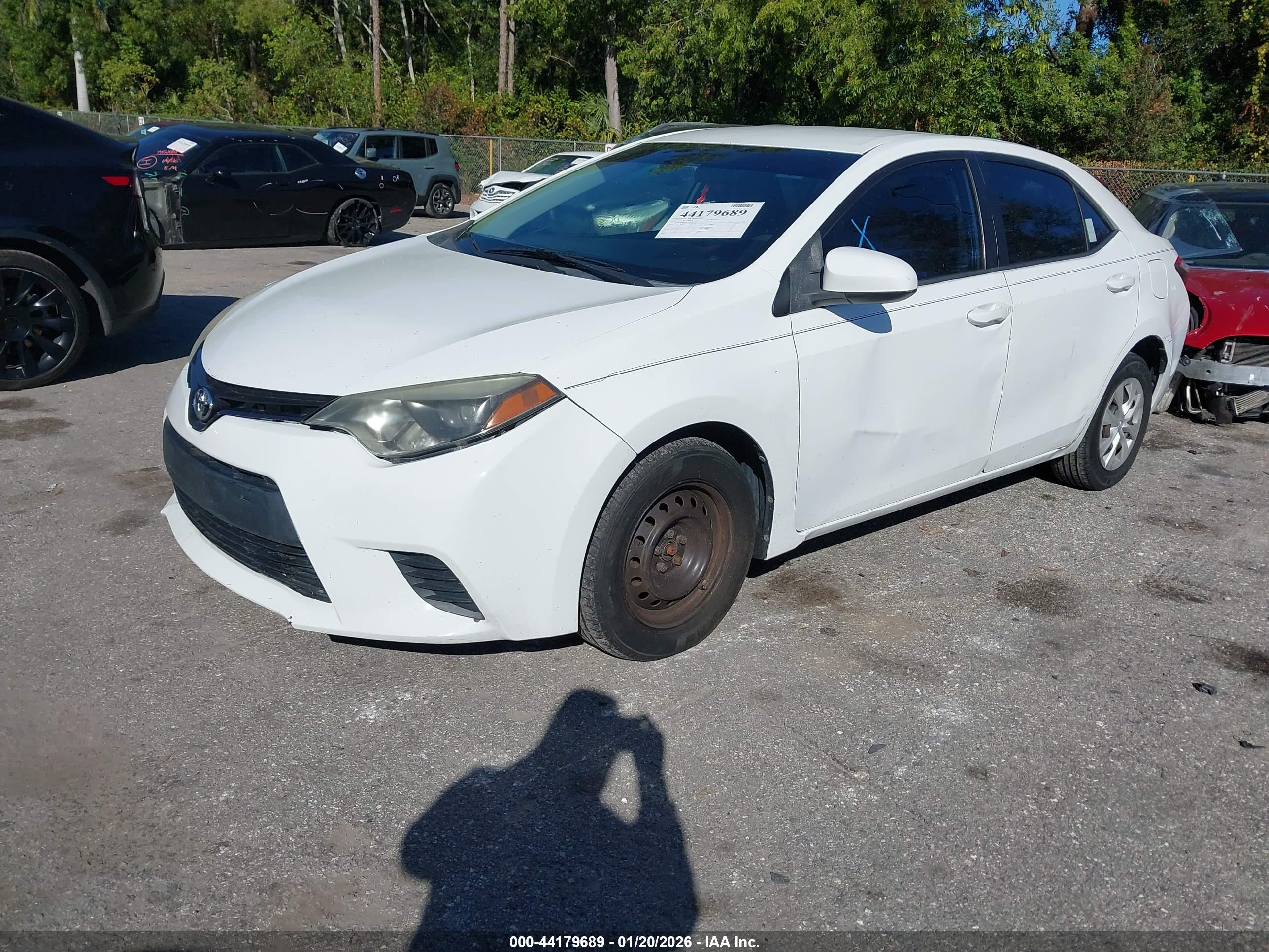 TOYOTA COROLLA image 2