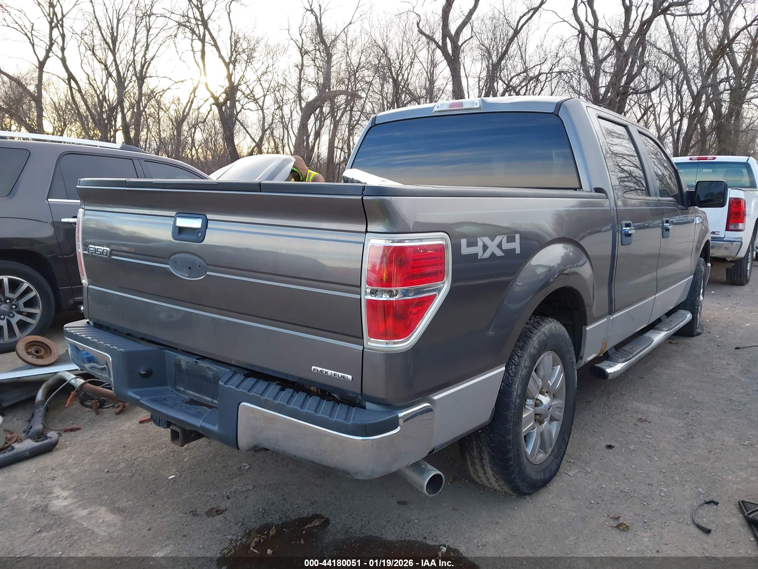 FORD F-150 image 4